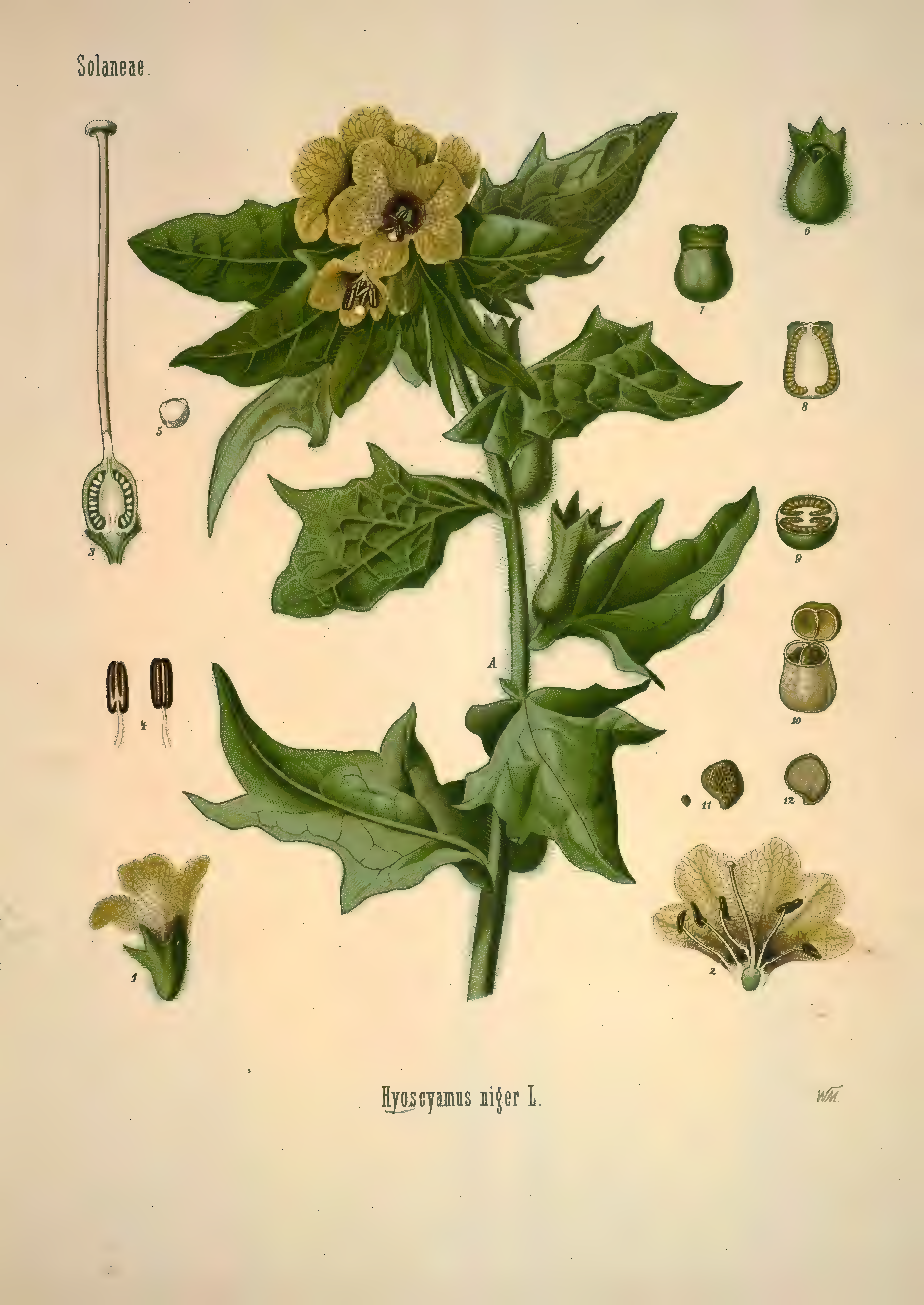 mobot31753002839139-1_page_255.png