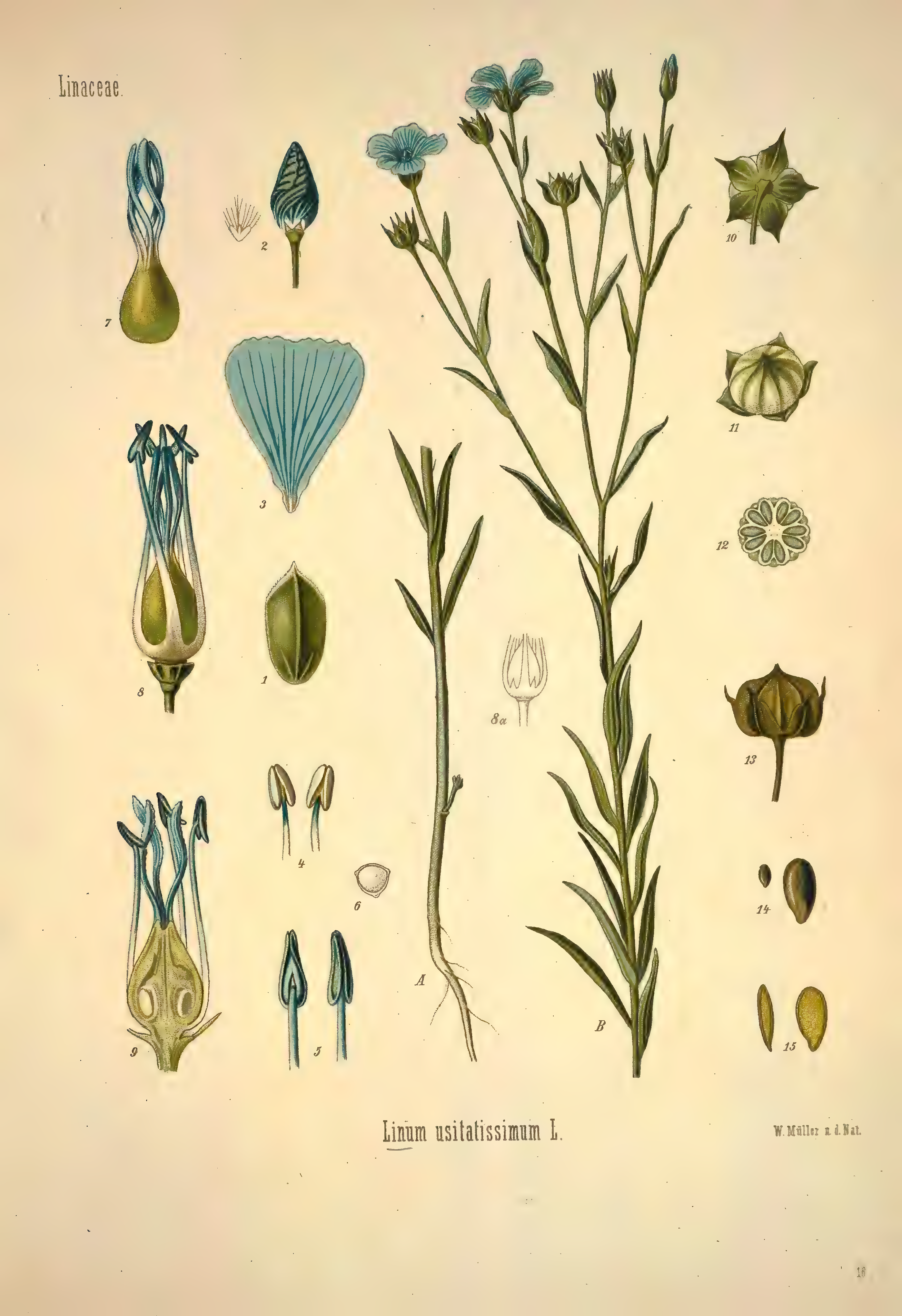 mobot31753002839139-1_page_267.png