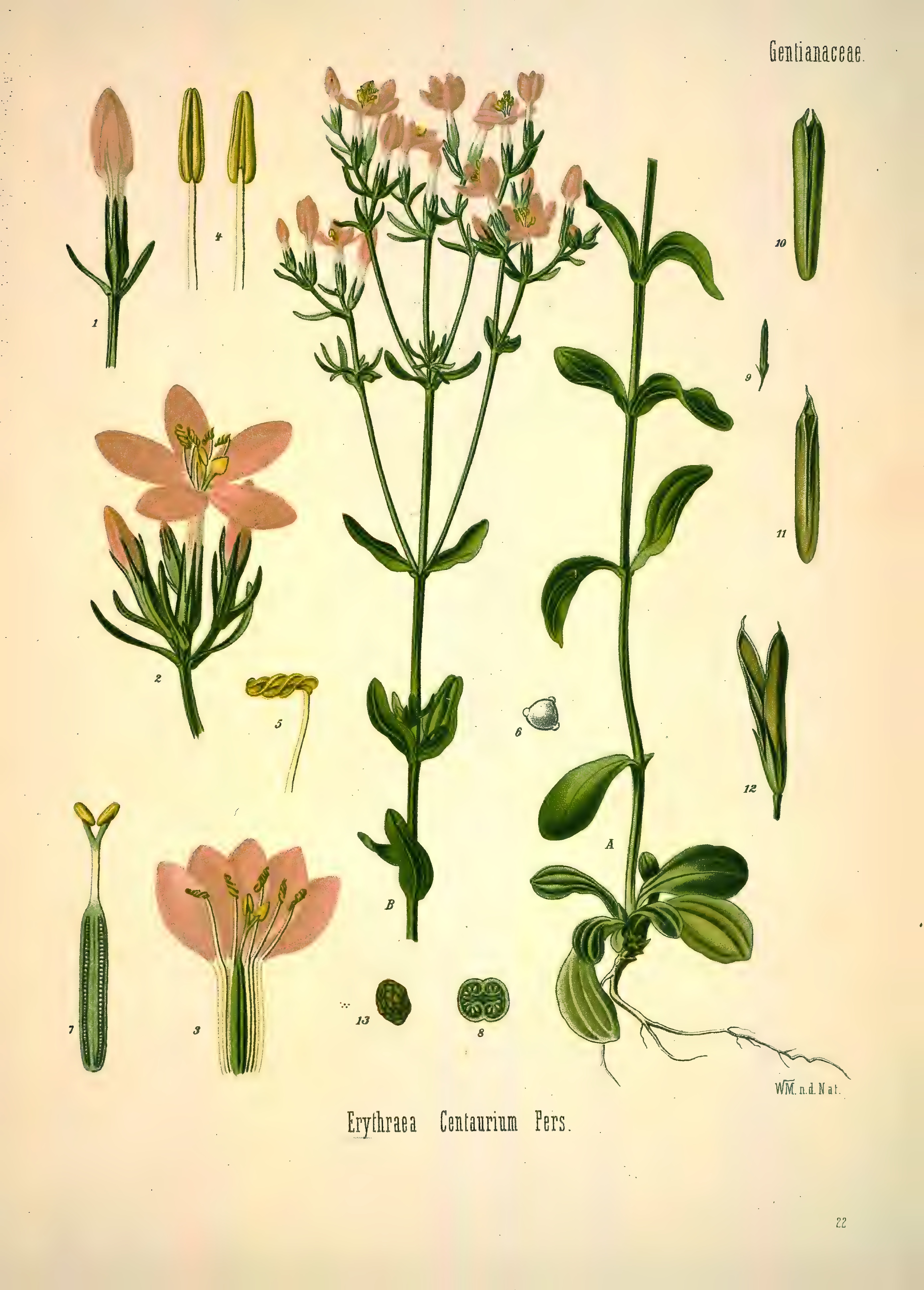 mobot31753002839139-1_page_279.png