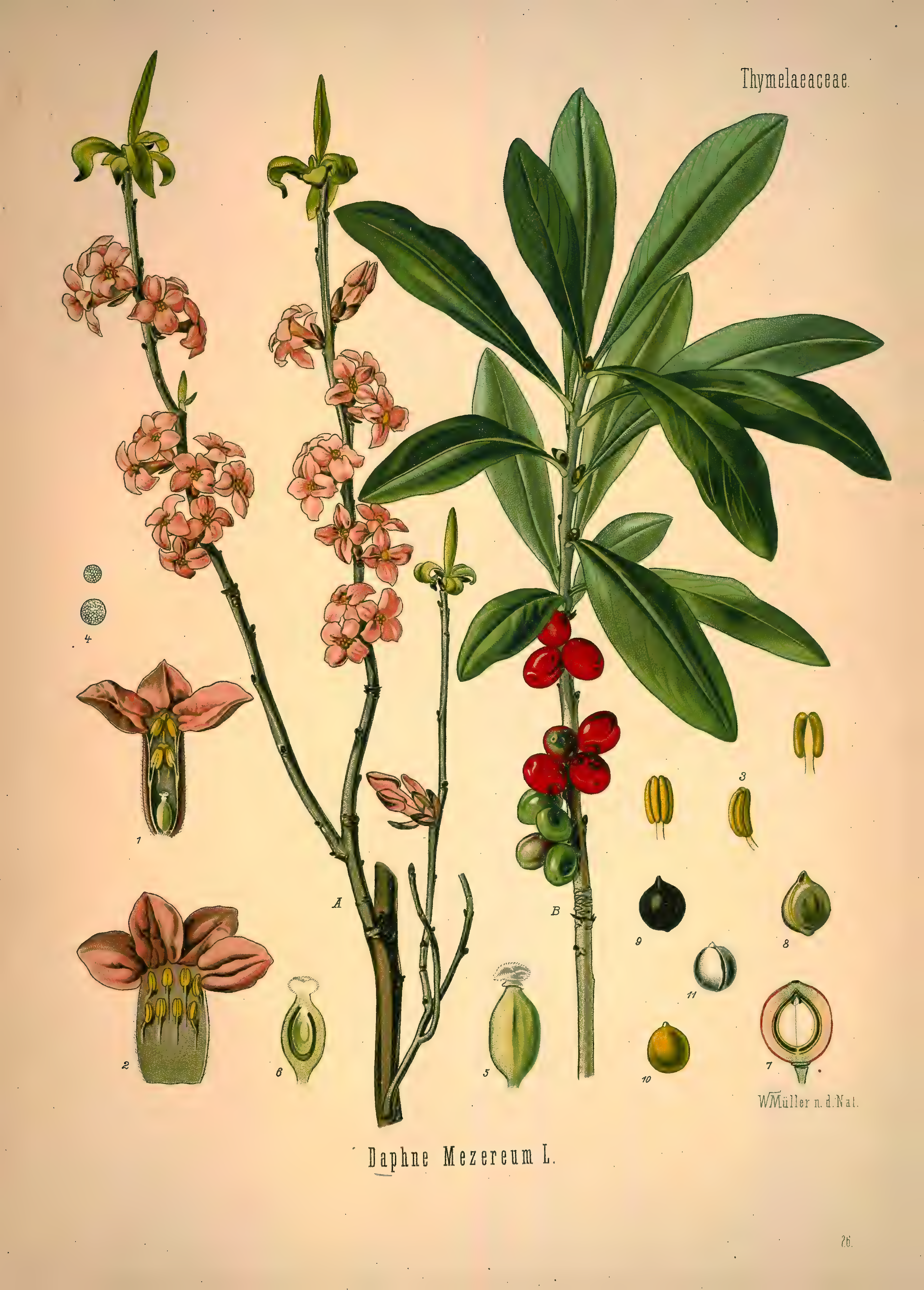 mobot31753002839139-1_page_287.png