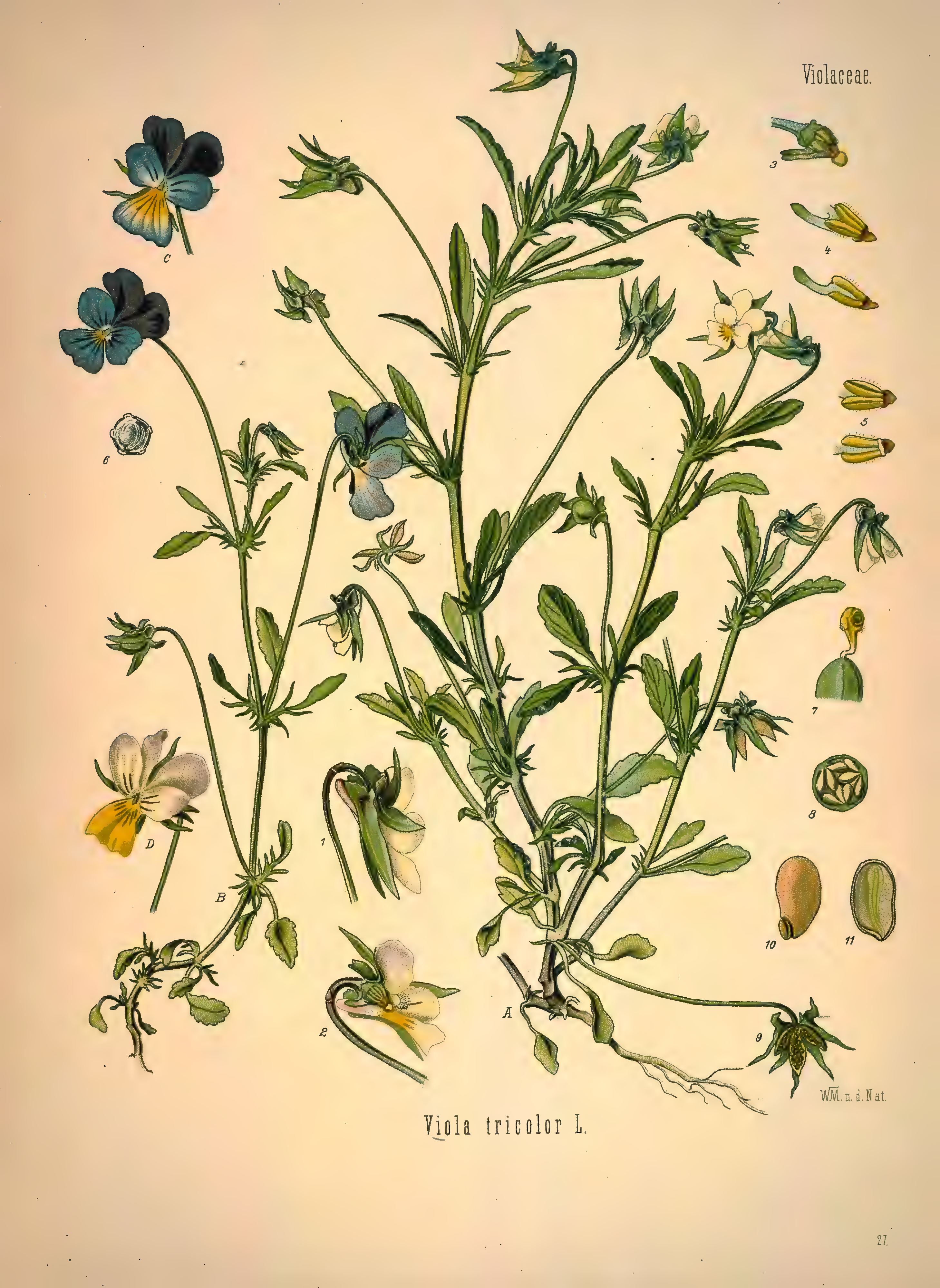 mobot31753002839139-1_page_289.png