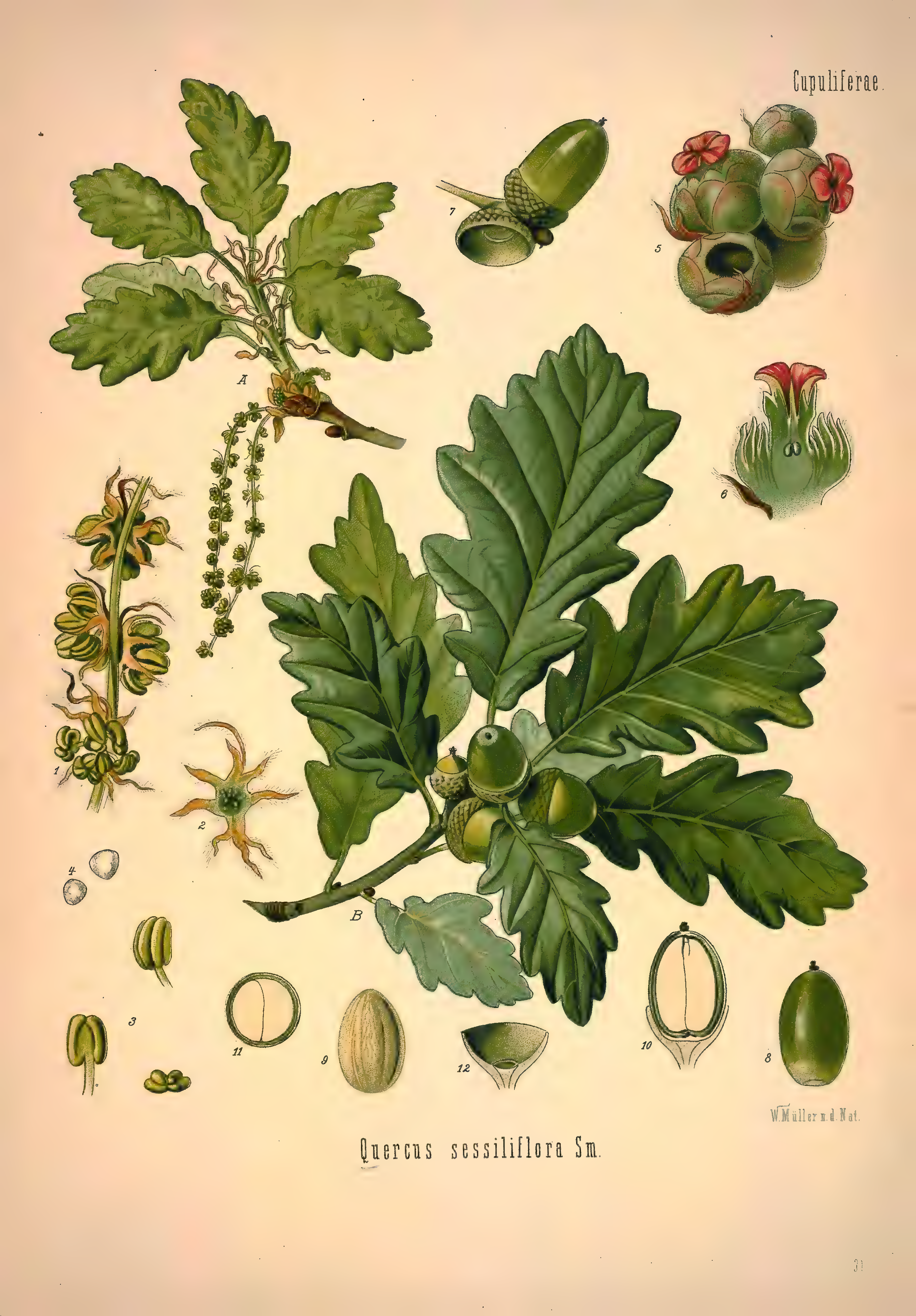 mobot31753002839139-1_page_297.png