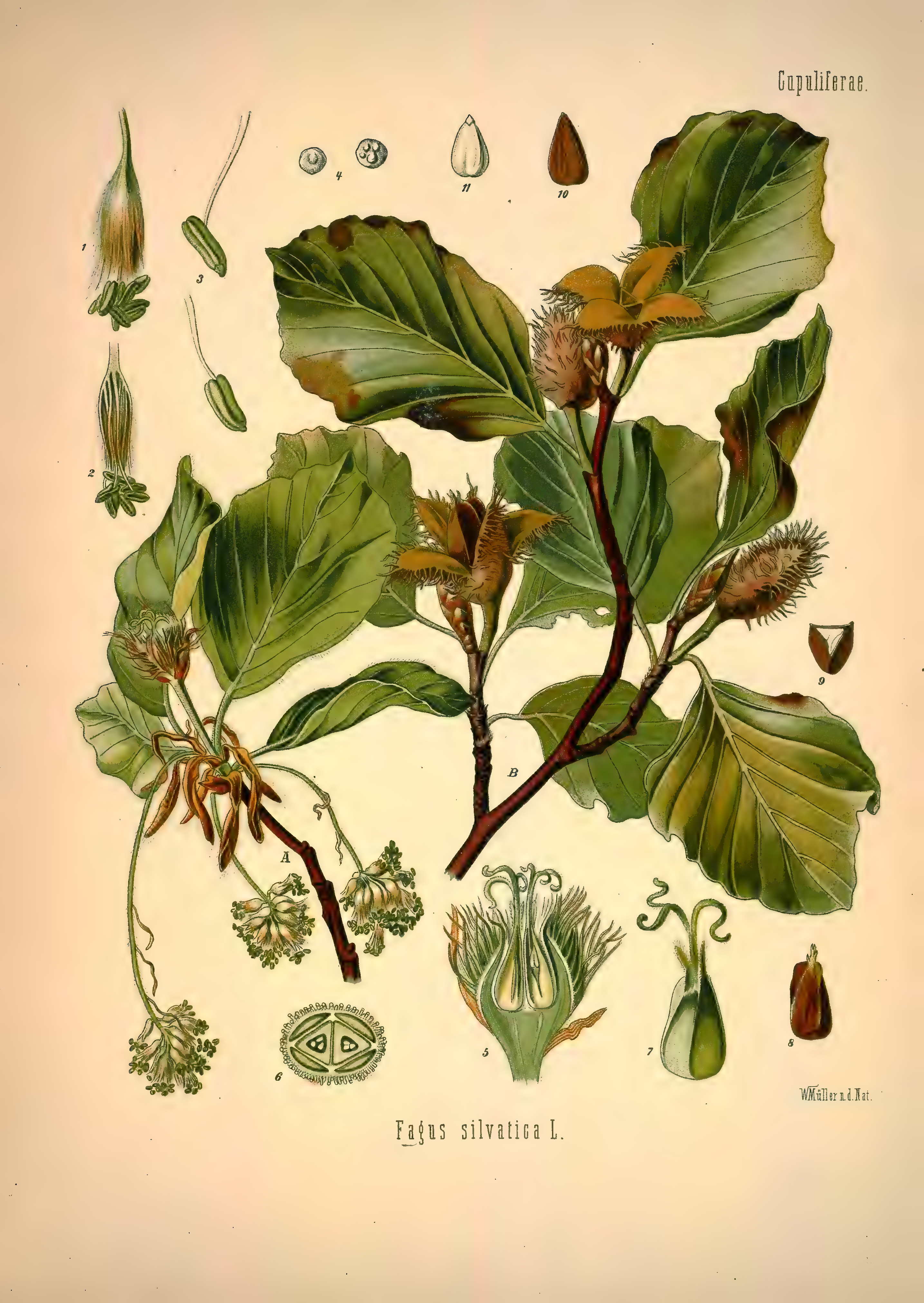 mobot31753002839139-1_page_301.png