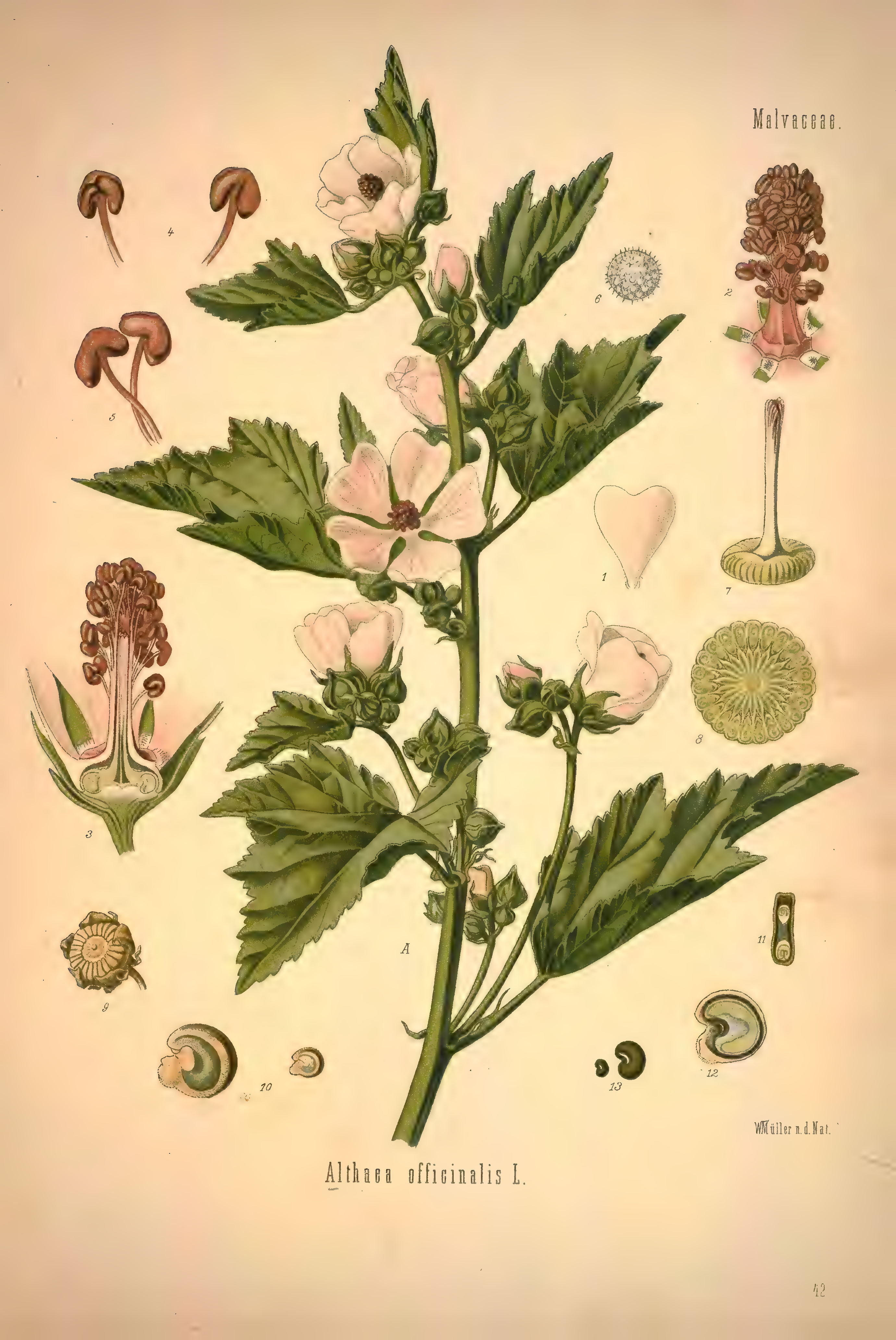 mobot31753002839139-1_page_319.png