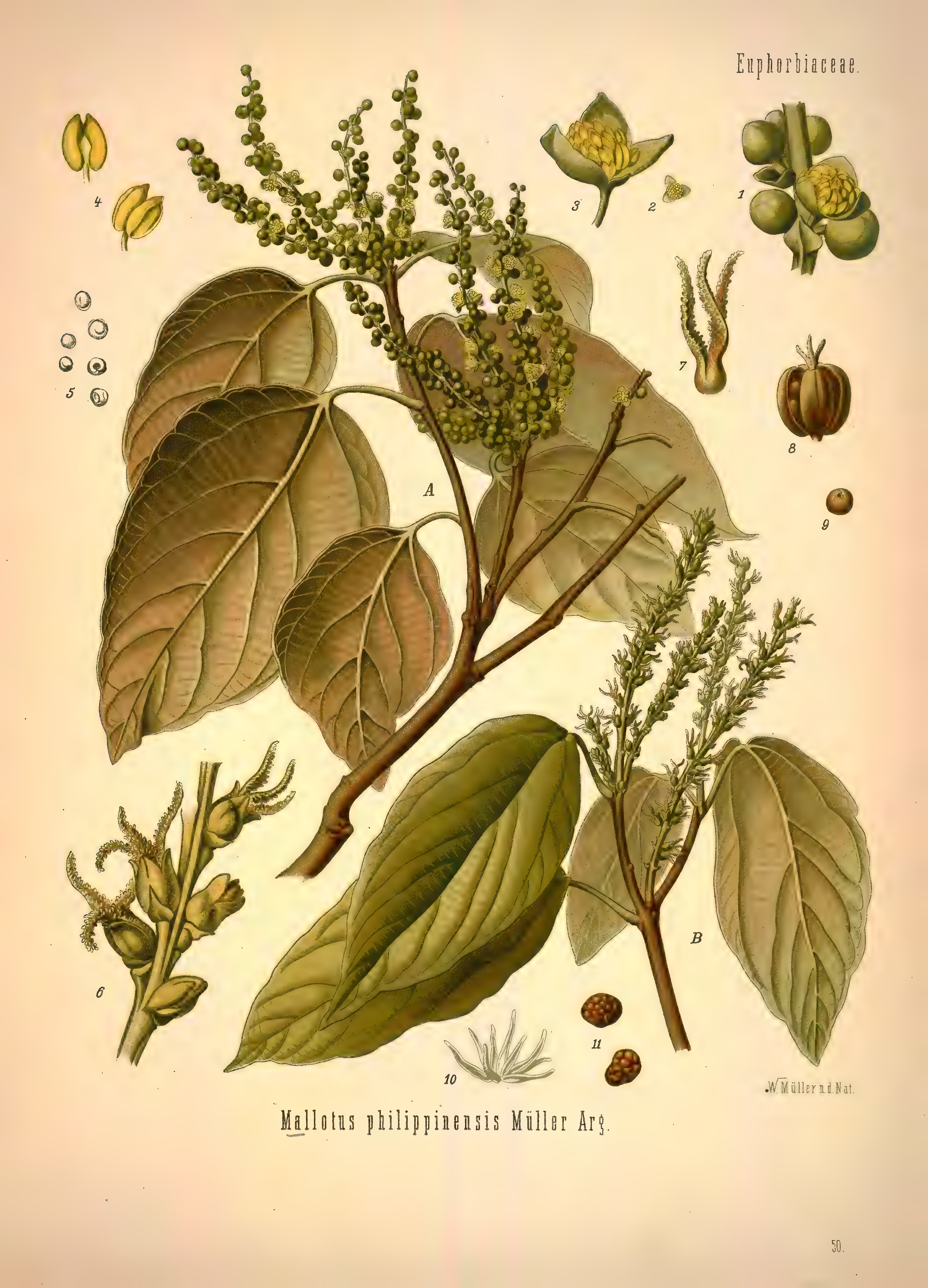 mobot31753002839139-1_page_335.png