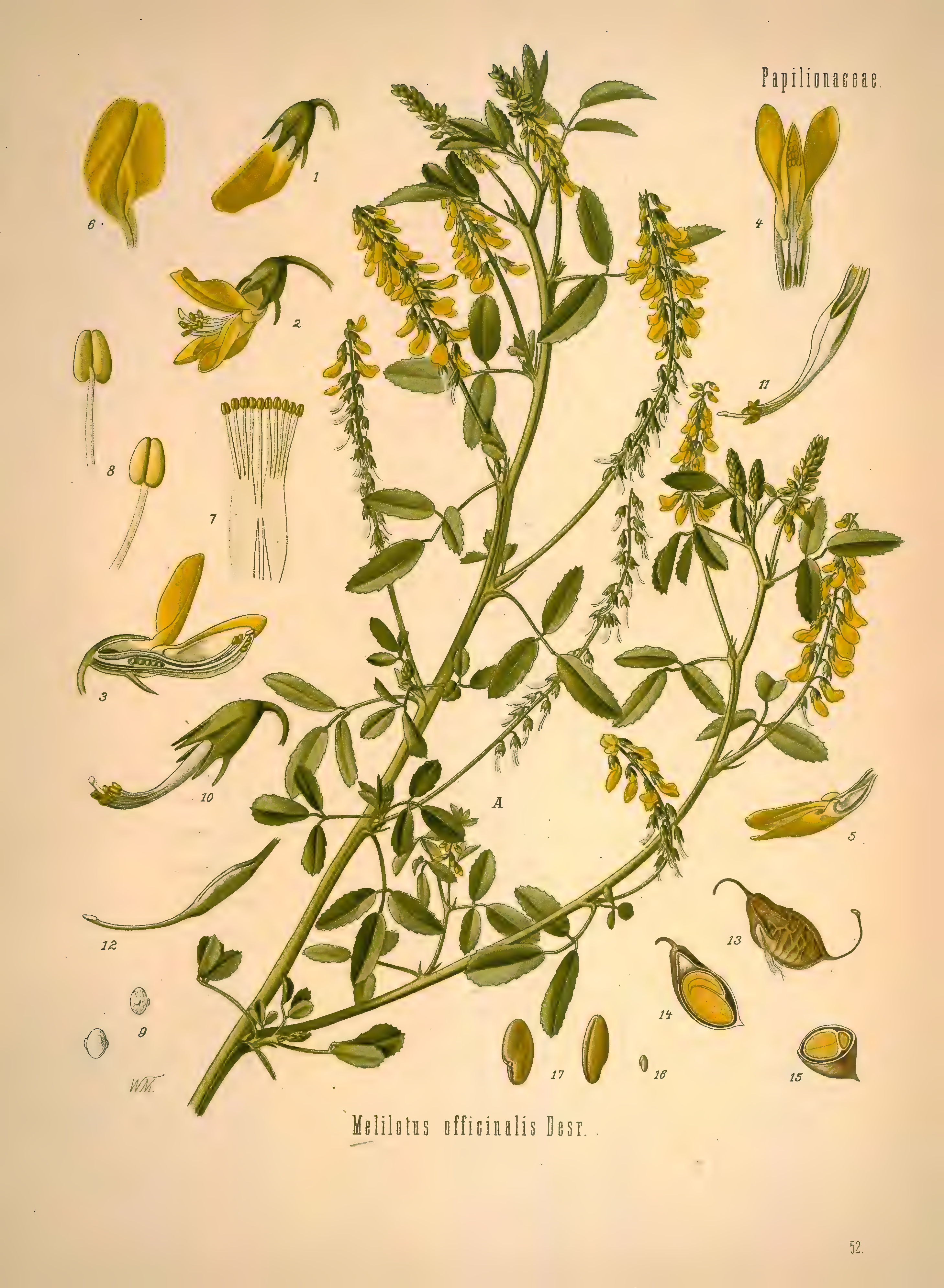 mobot31753002839139-1_page_339.png