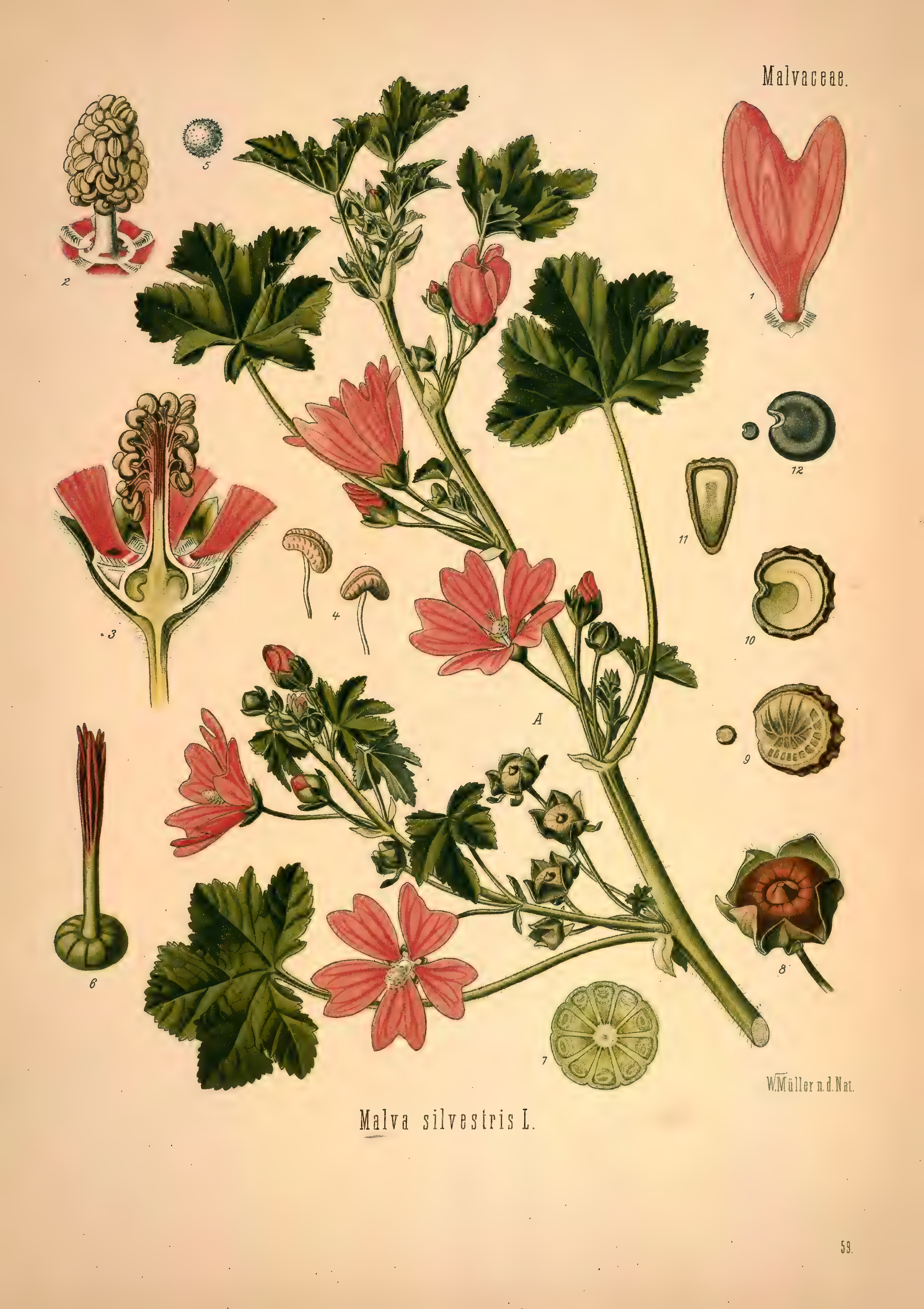 mobot31753002839139-1_page_355.png