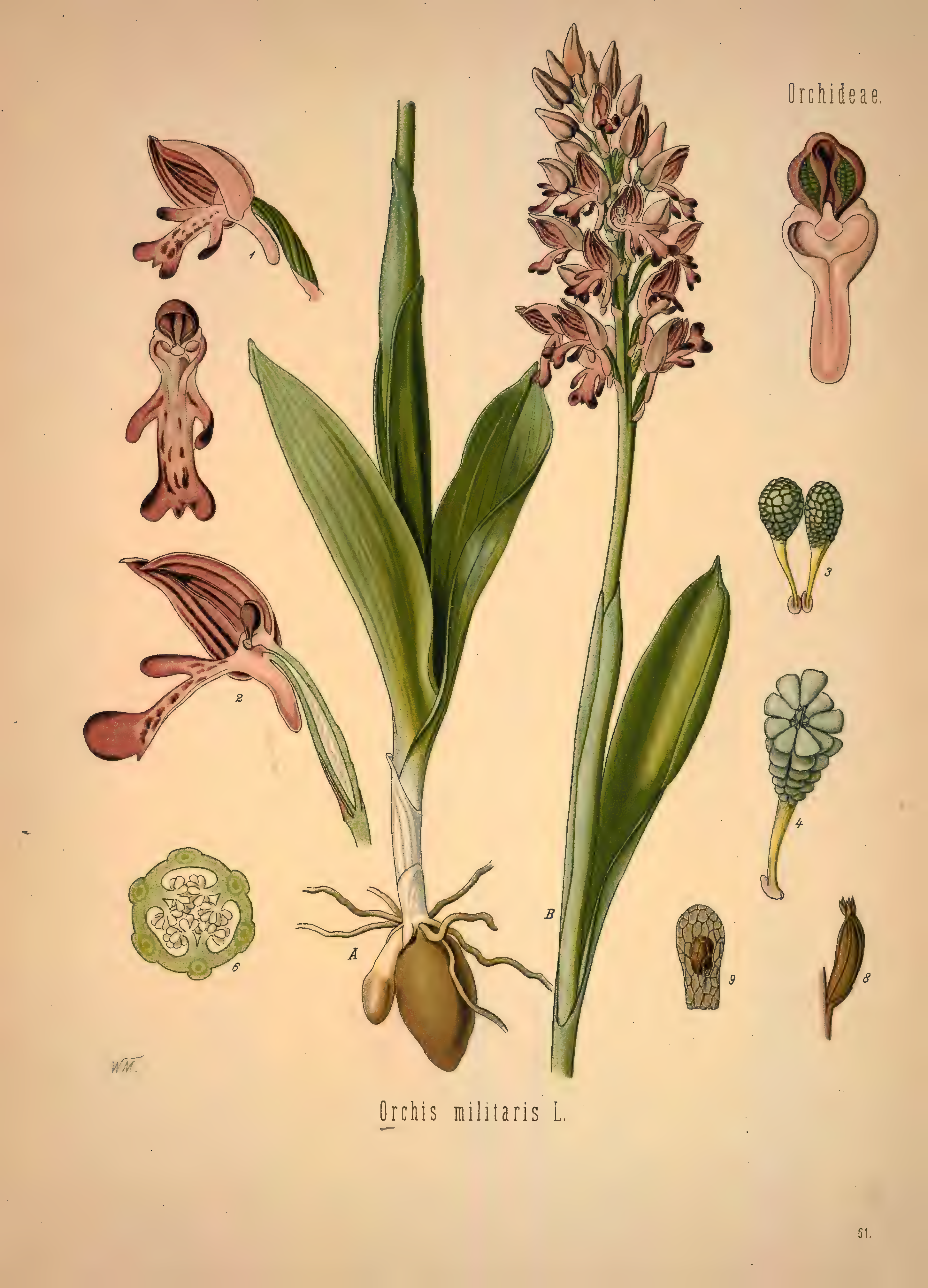 mobot31753002839139-1_page_359.png