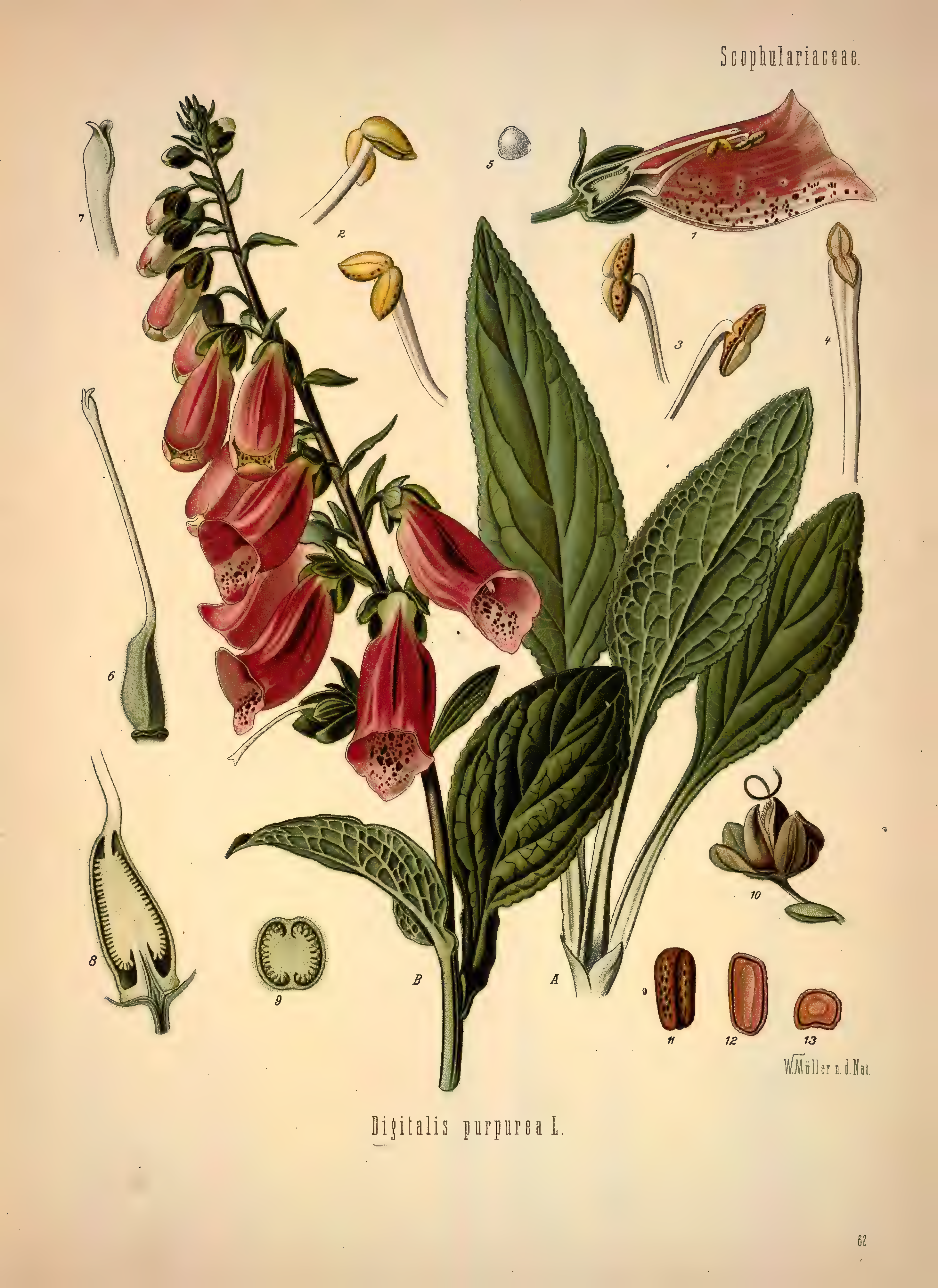 mobot31753002839139-1_page_363.png