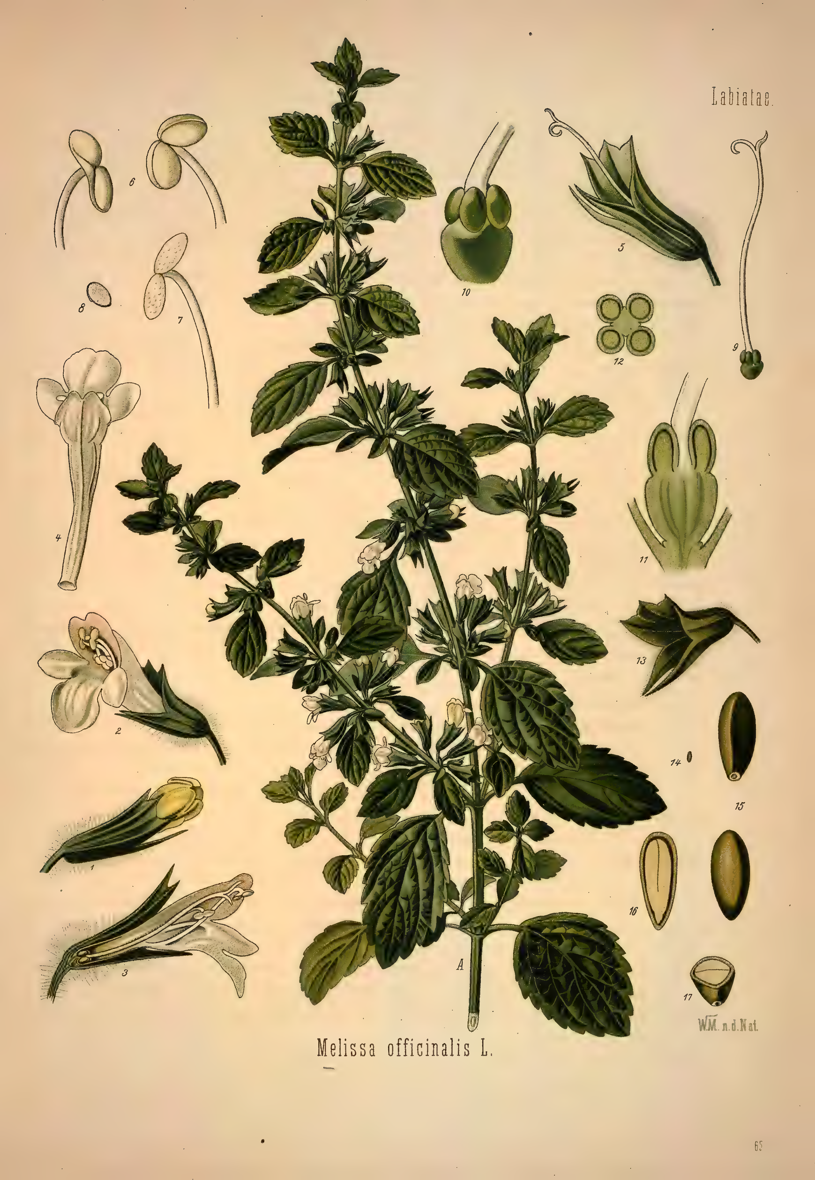 mobot31753002839139-1_page_369.png