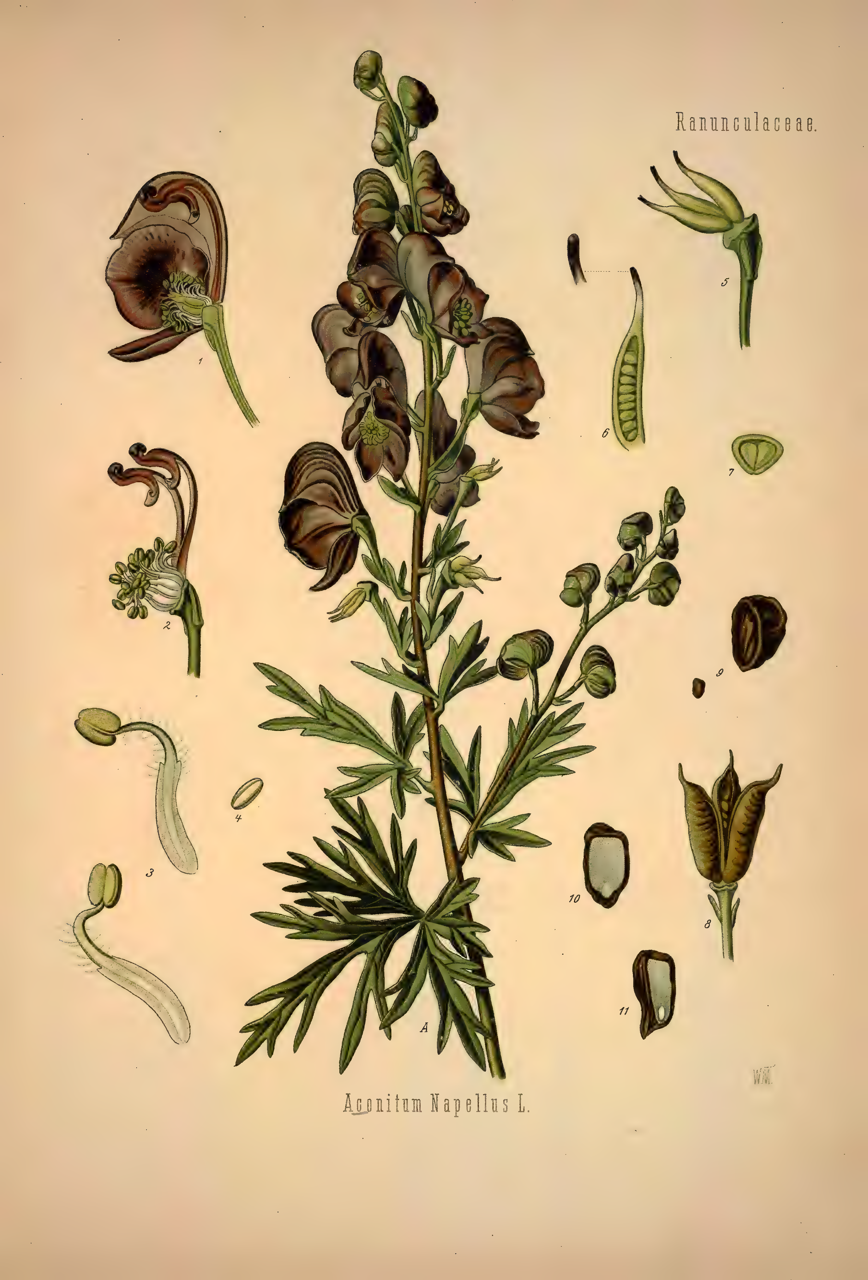 mobot31753002839139-1_page_381.png