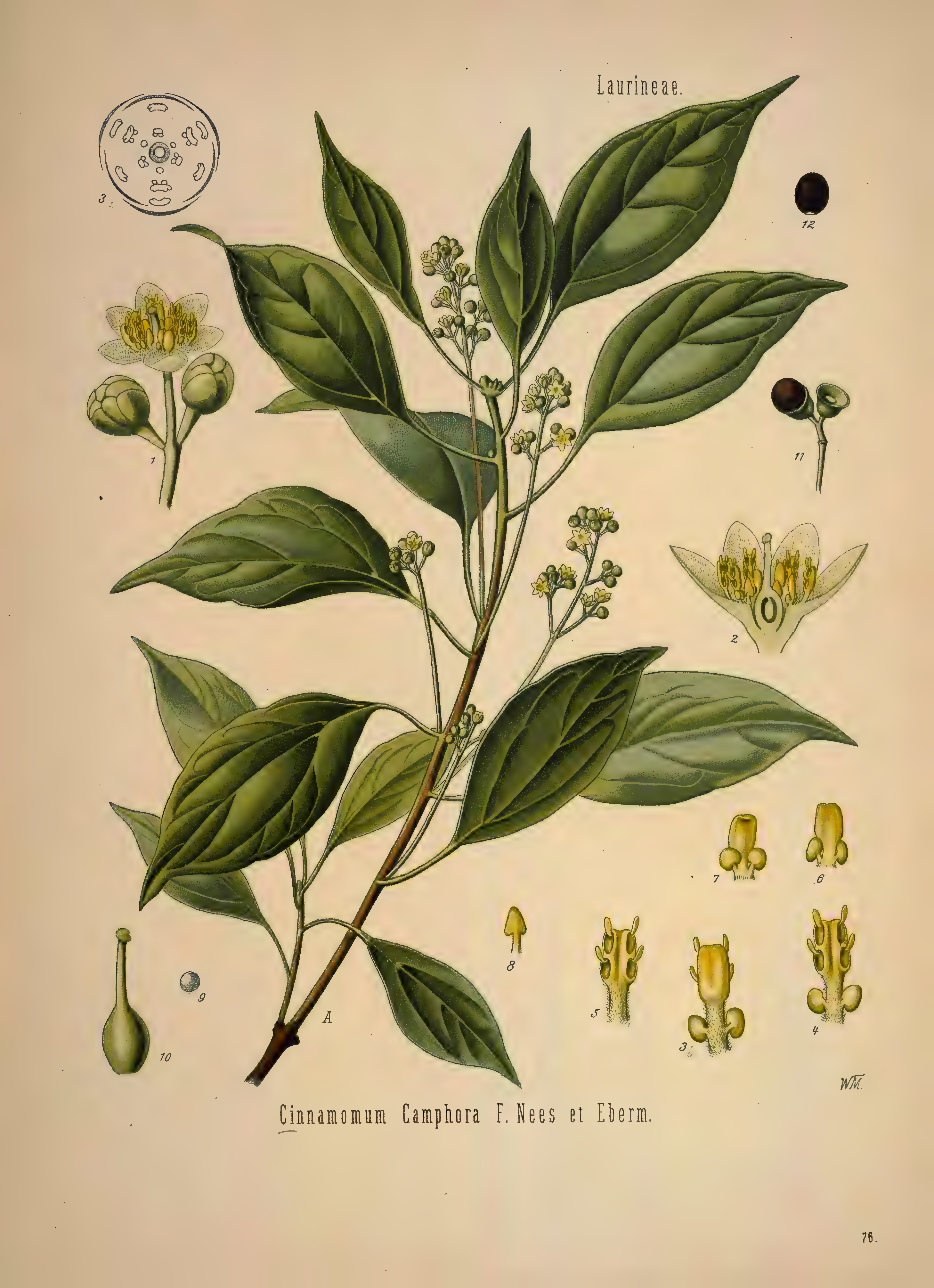 mobot31753002839139-1_page_389.png