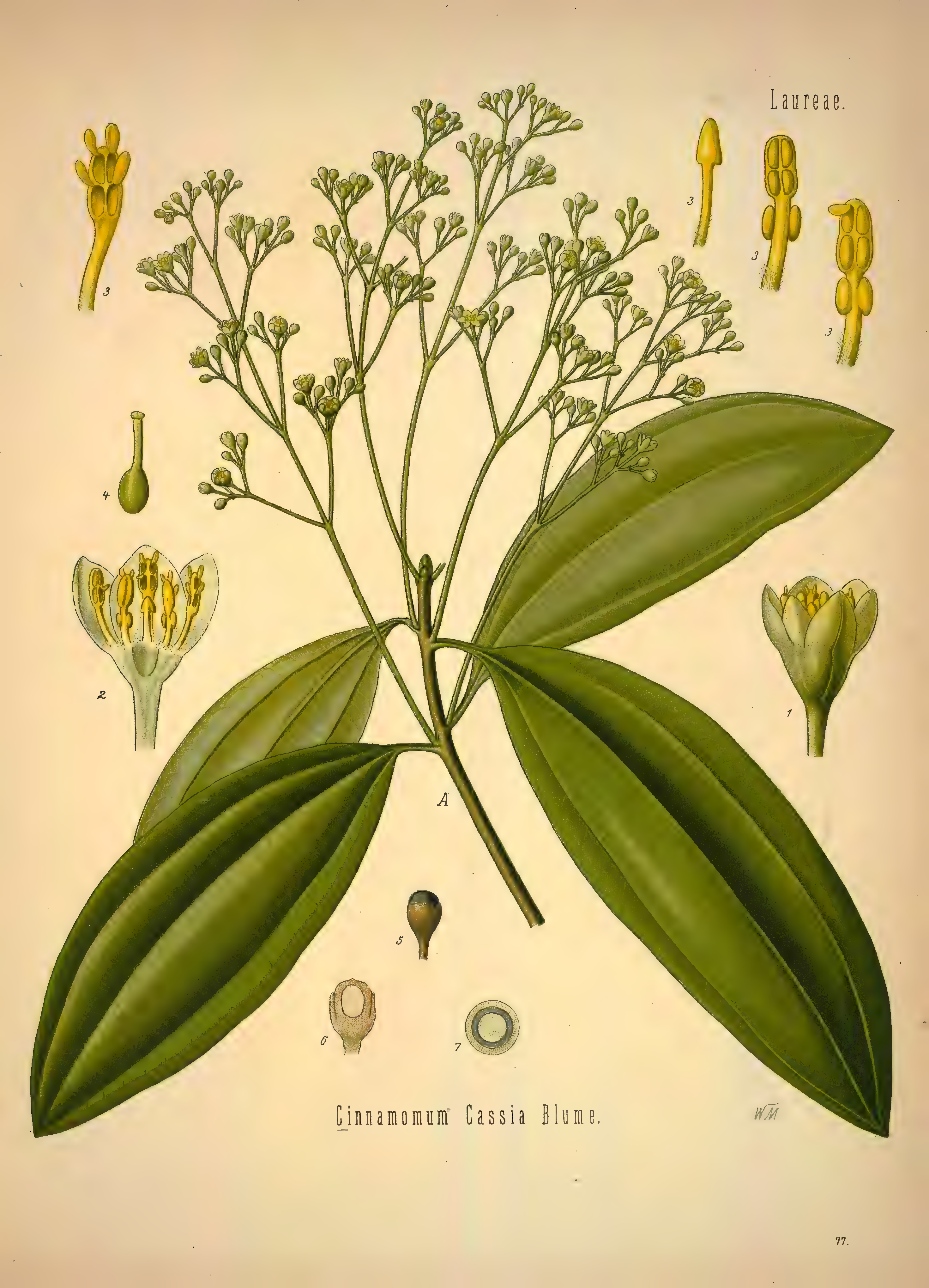 mobot31753002839139-1_page_391.png