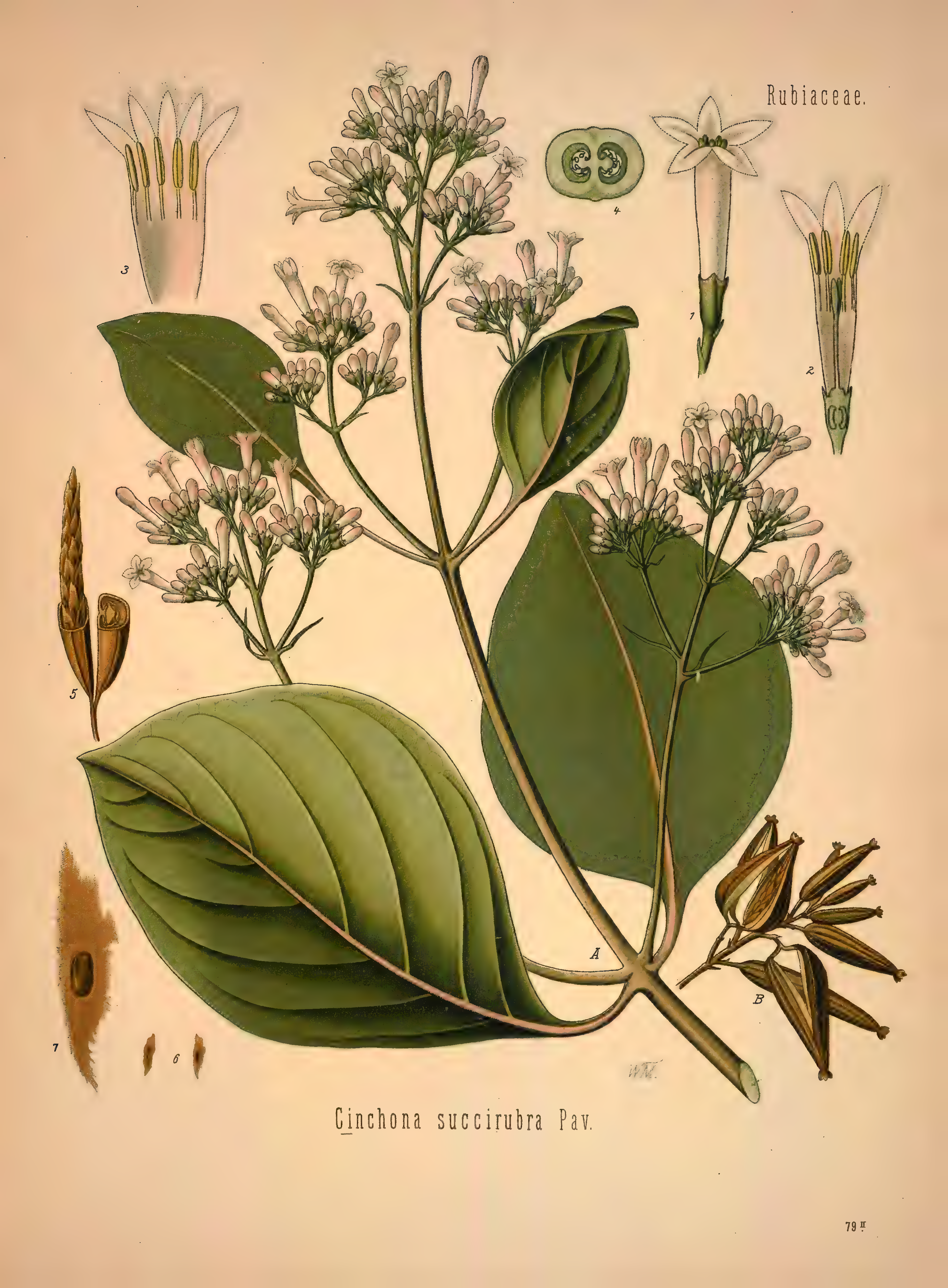 mobot31753002839139-1_page_397.png