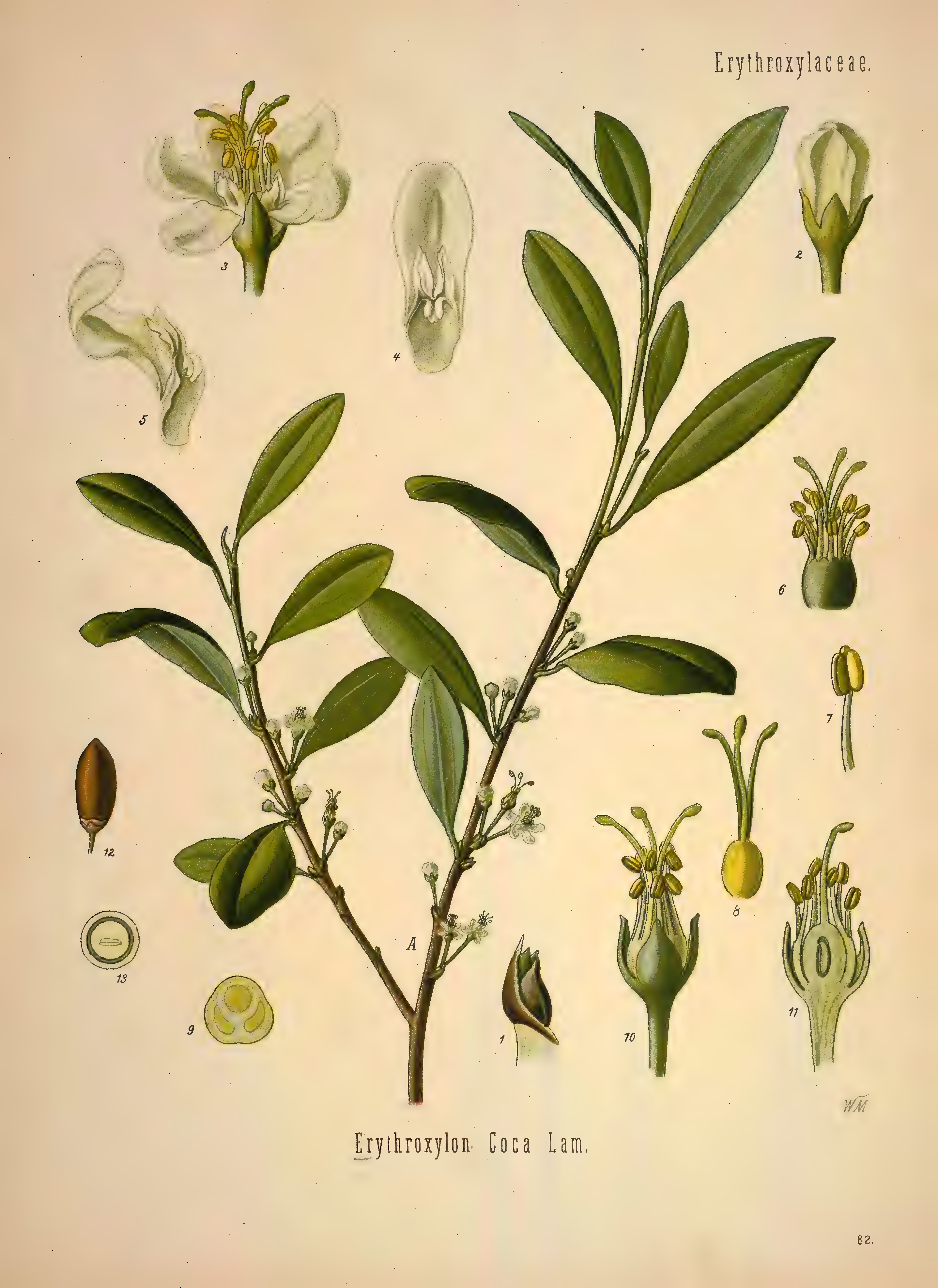 mobot31753002839139-1_page_405.png