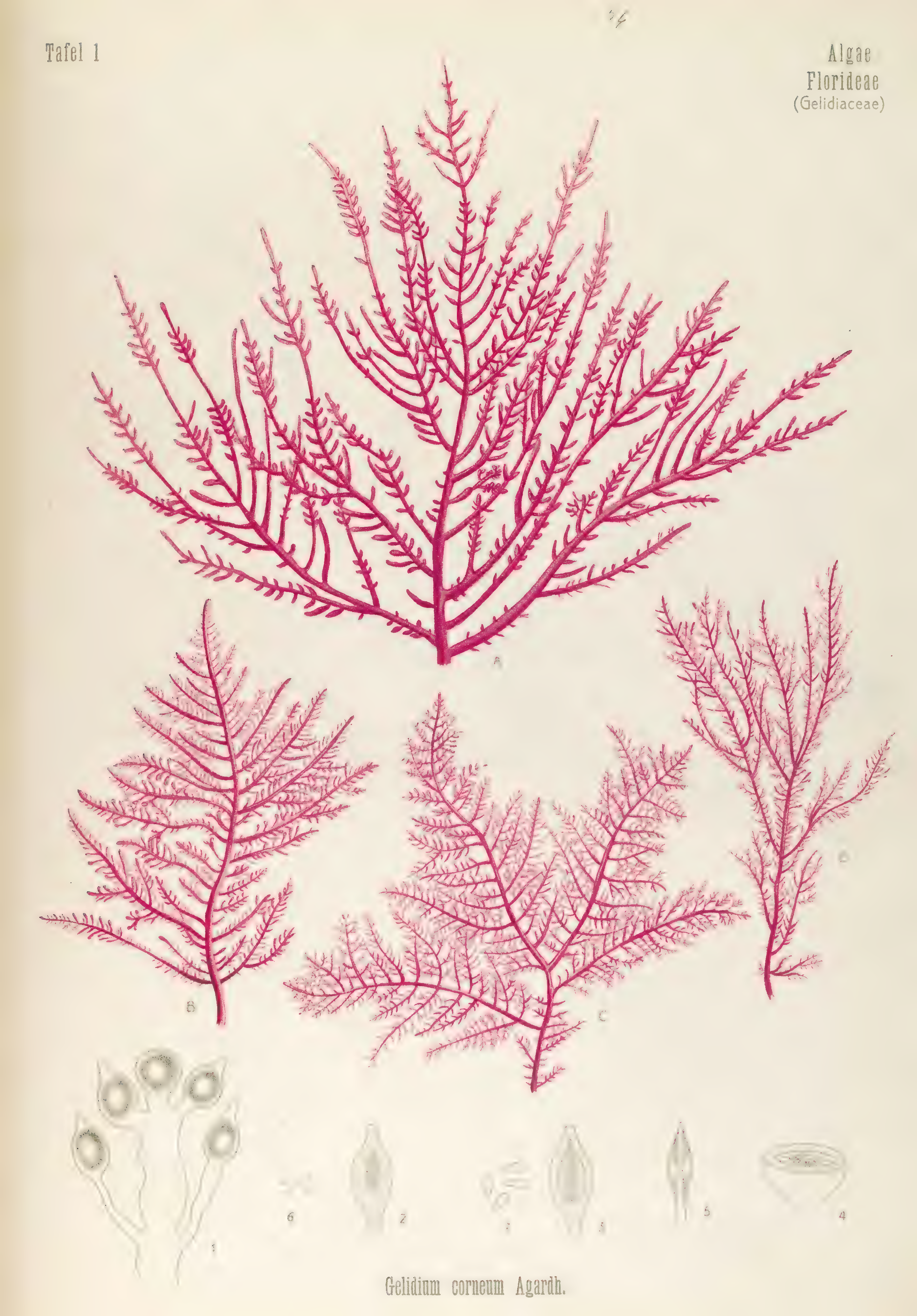 mobot31753003431696-4_page_70.png