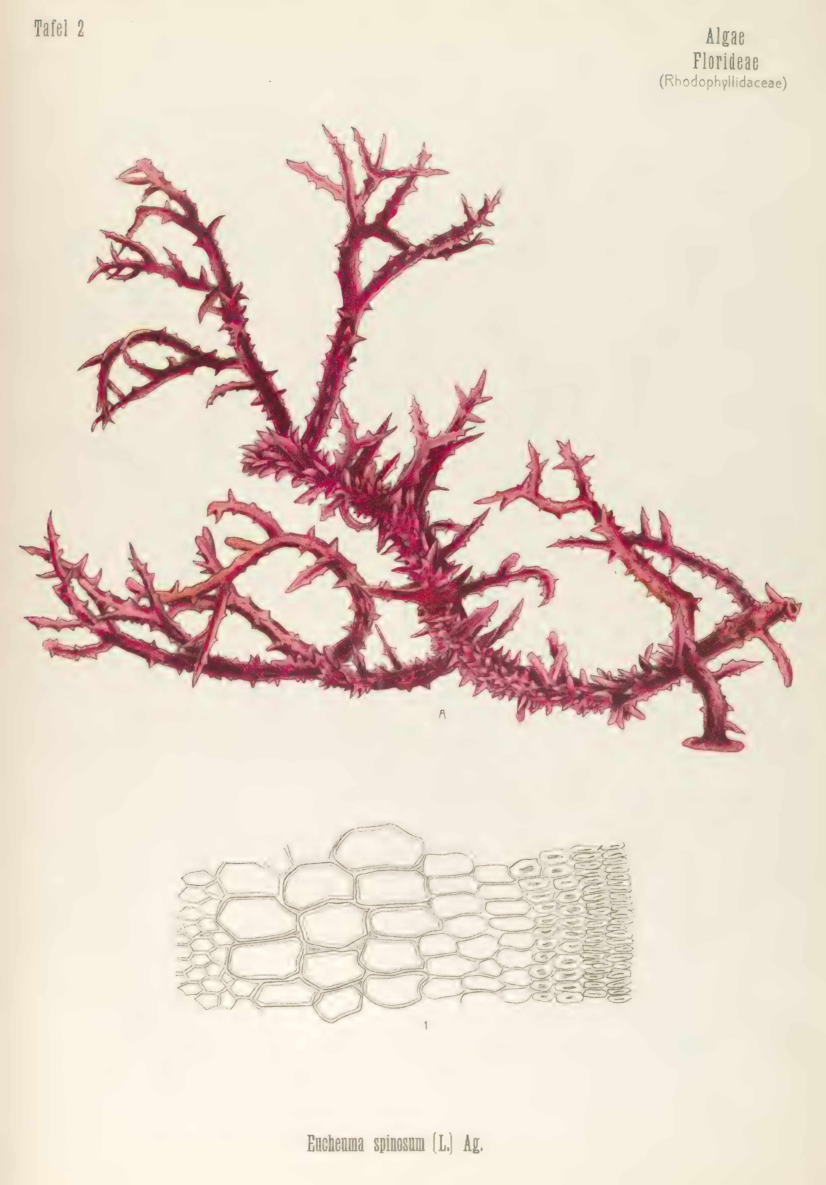 mobot31753003431696-4_page_71.png
