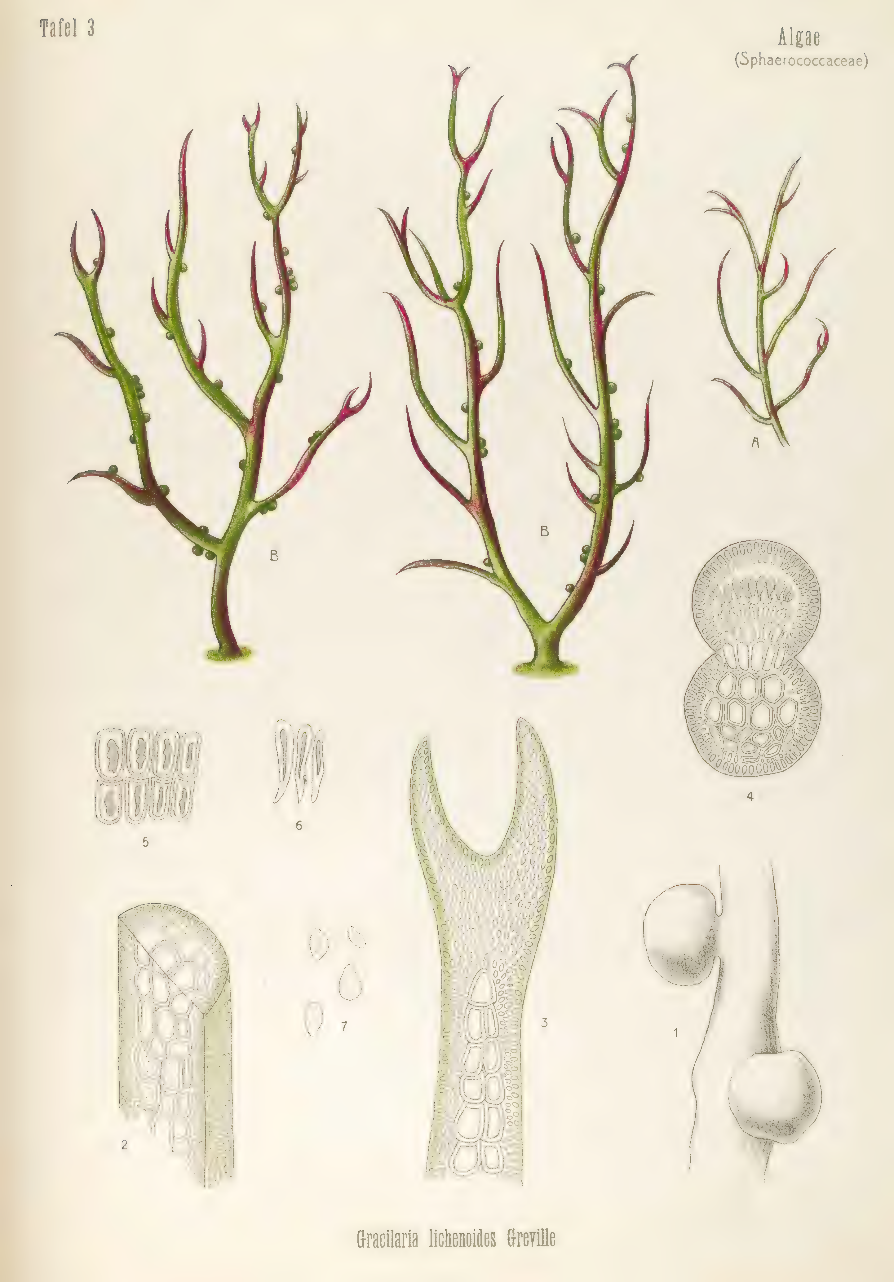mobot31753003431696-4_page_72.png