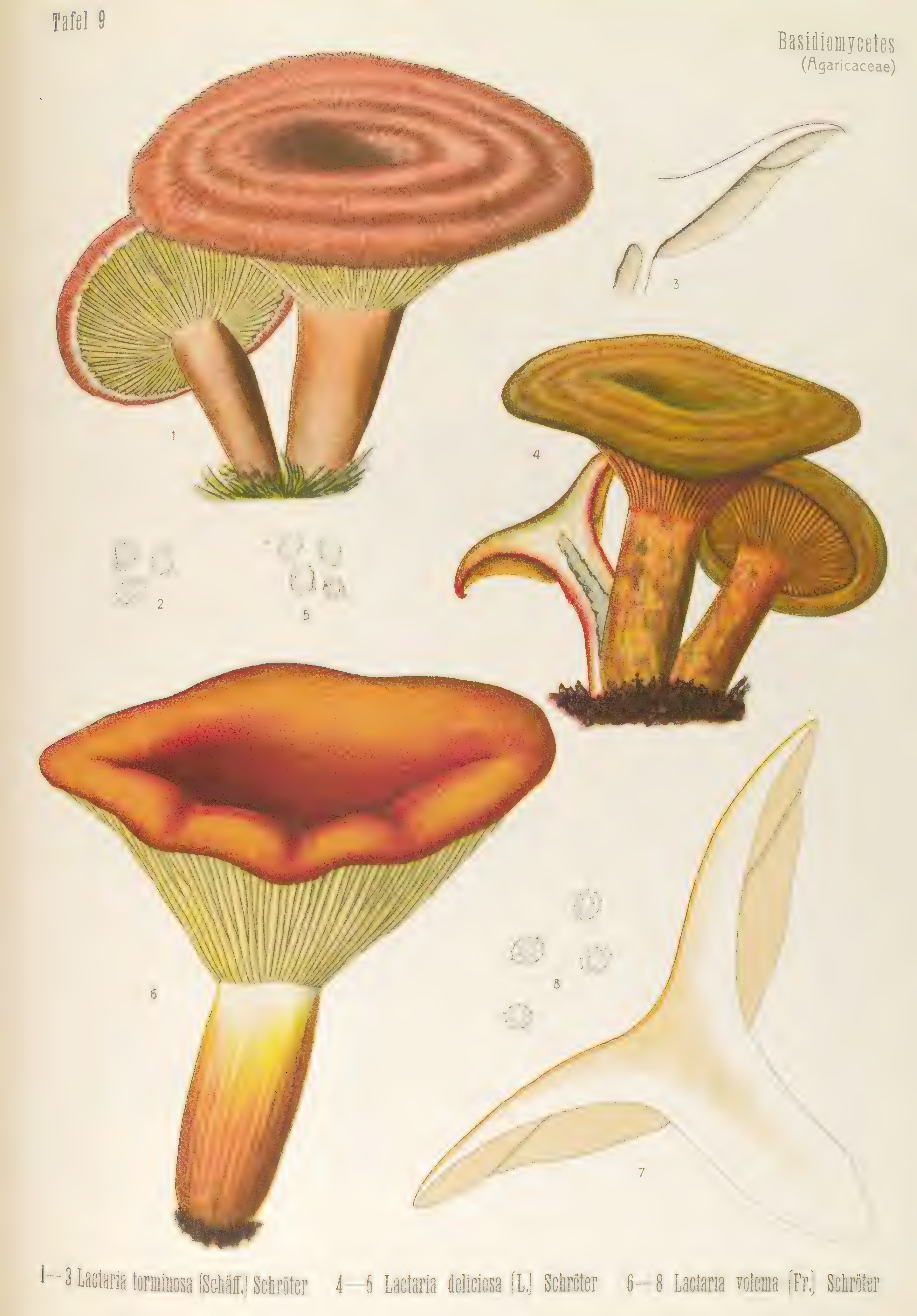 mobot31753003431696-4_page_77.png