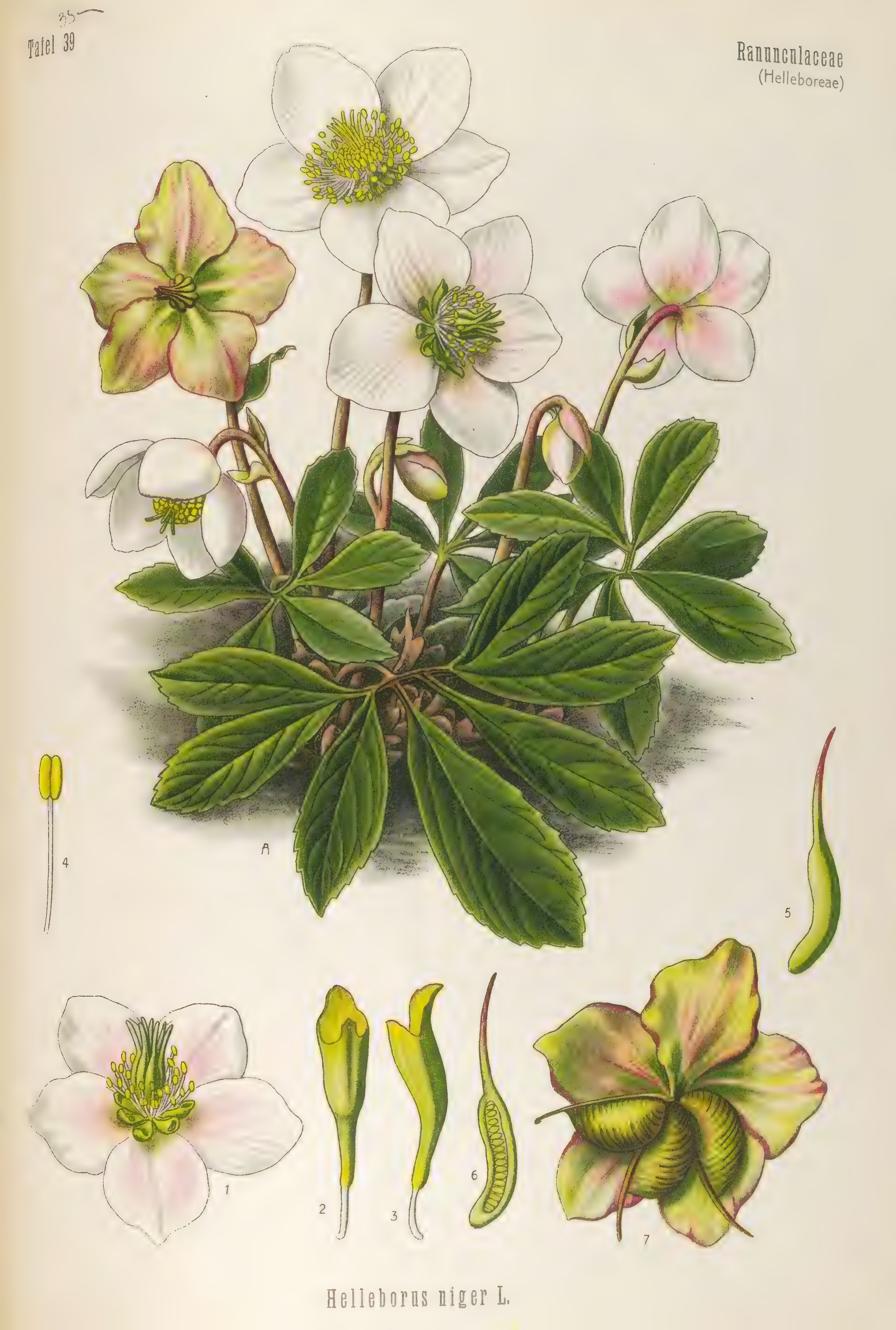 mobot31753003431696-4_page_86.png