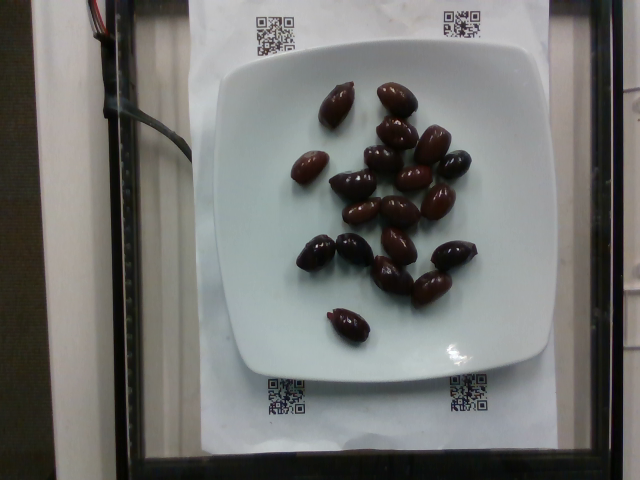 dish_1556575014.png