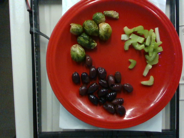 dish_1556575386.png