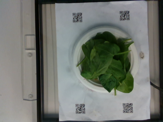dish_1557862829.png