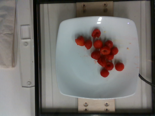 dish_1557937037.png