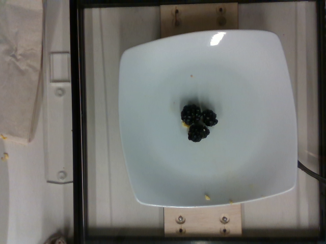 dish_1557937574.png