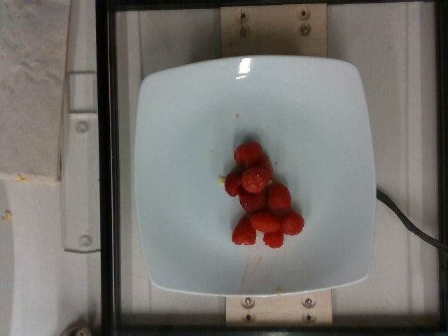 dish_1557937715.png