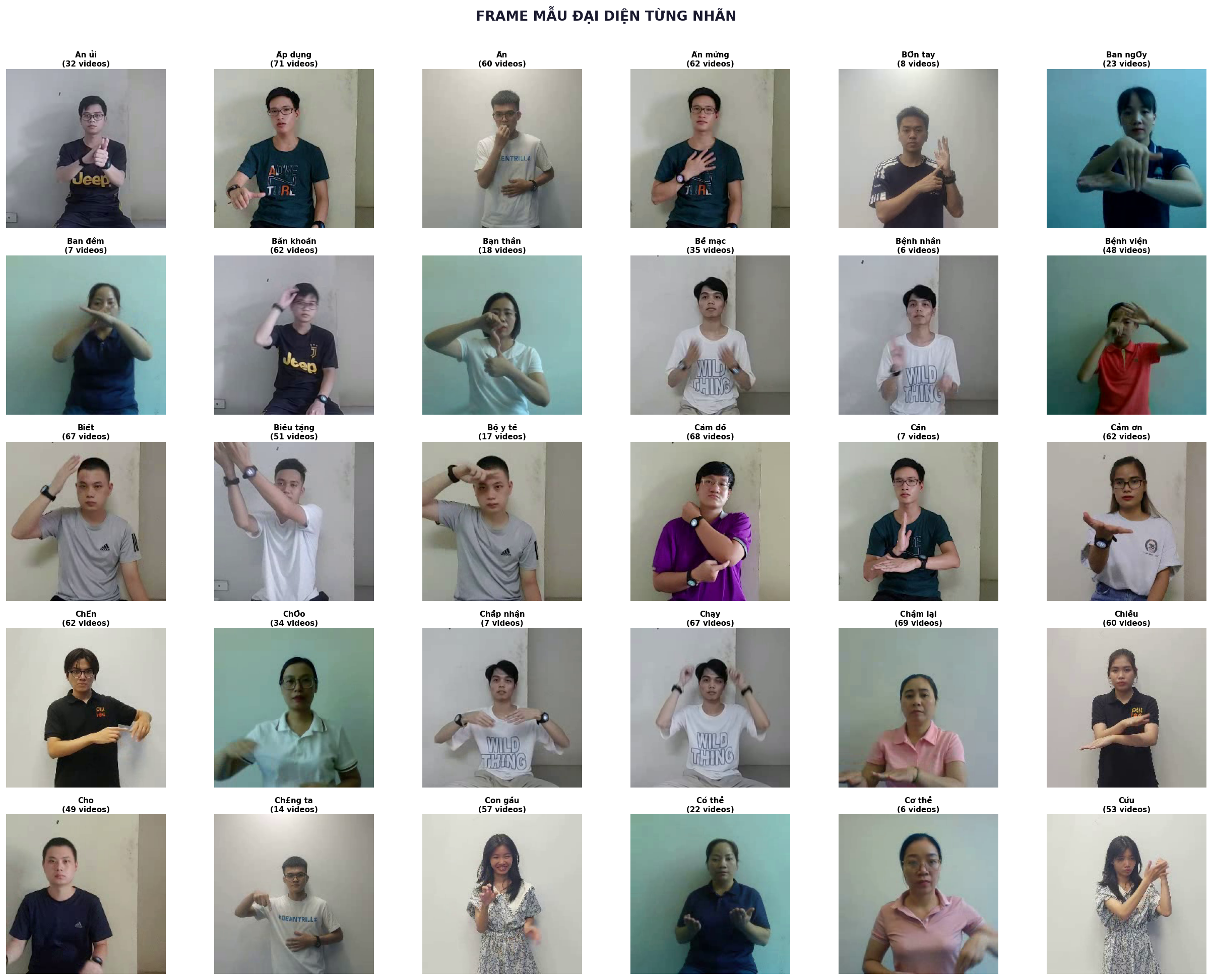 Sample frames from the dataset