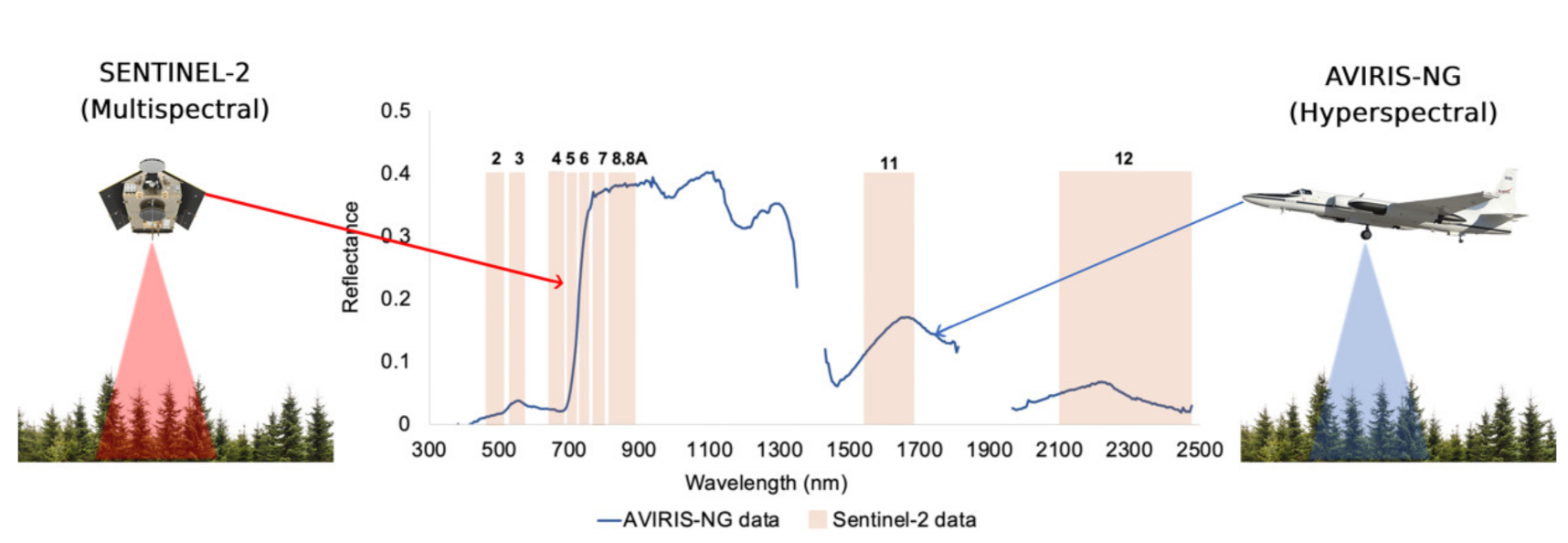 Spectral sensitivity comparison