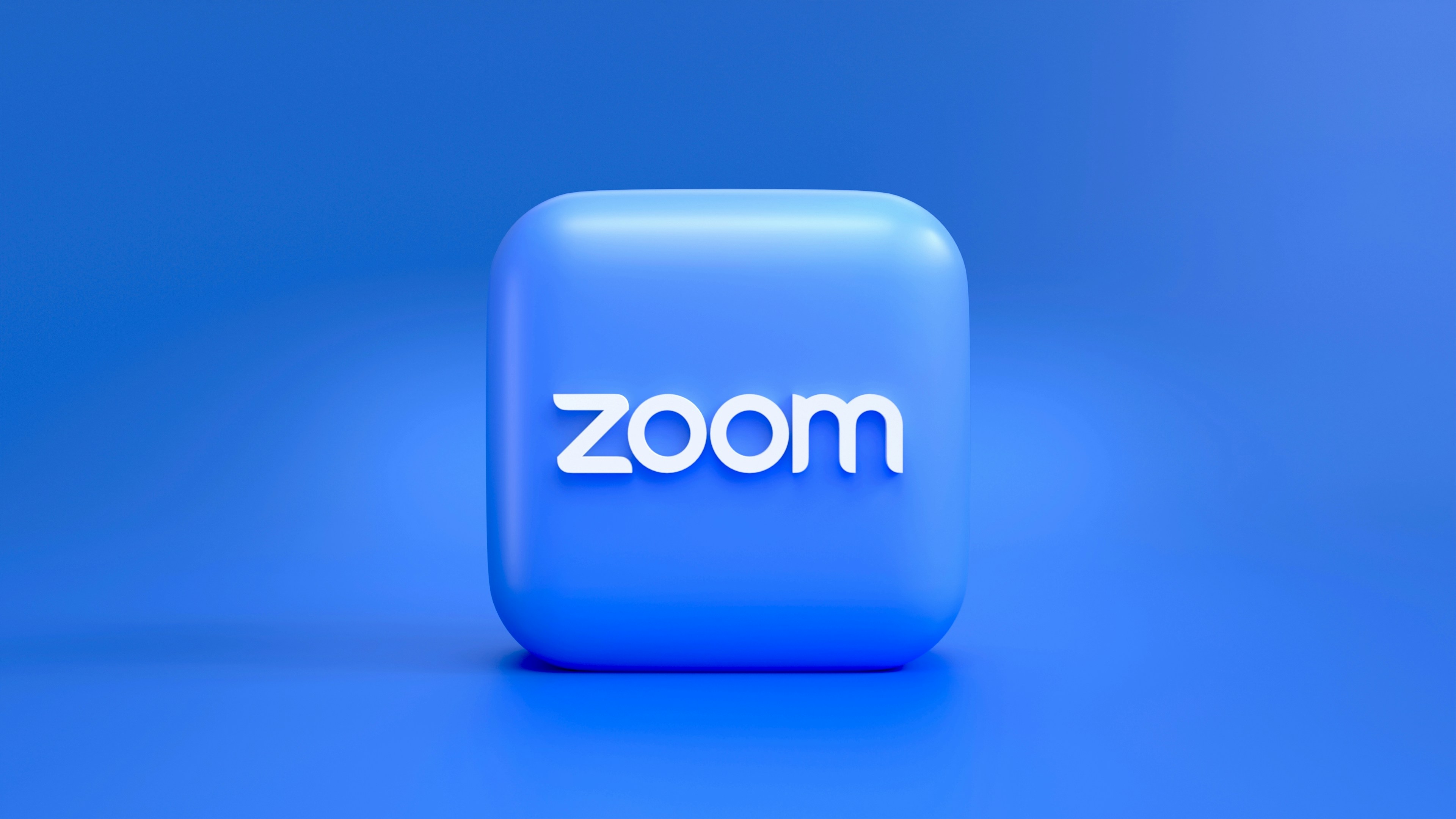 01_zoom.jpg