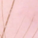 ISIC_0052349_crop64.png