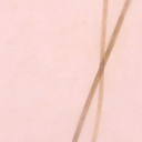 ISIC_0052349_crop72.png