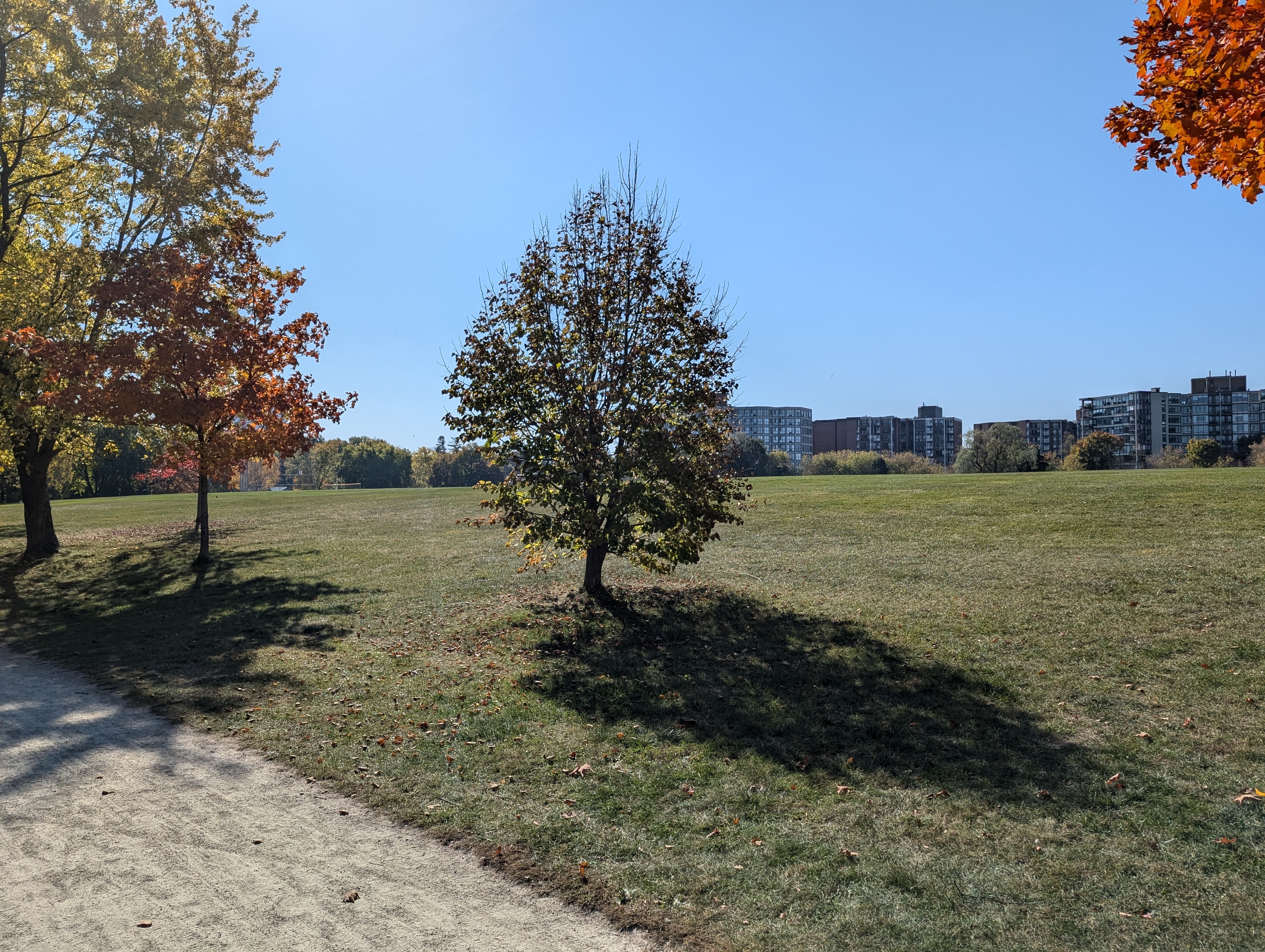 PXL_20241020_165000722.RAW-01.MP.COVER.jpg
