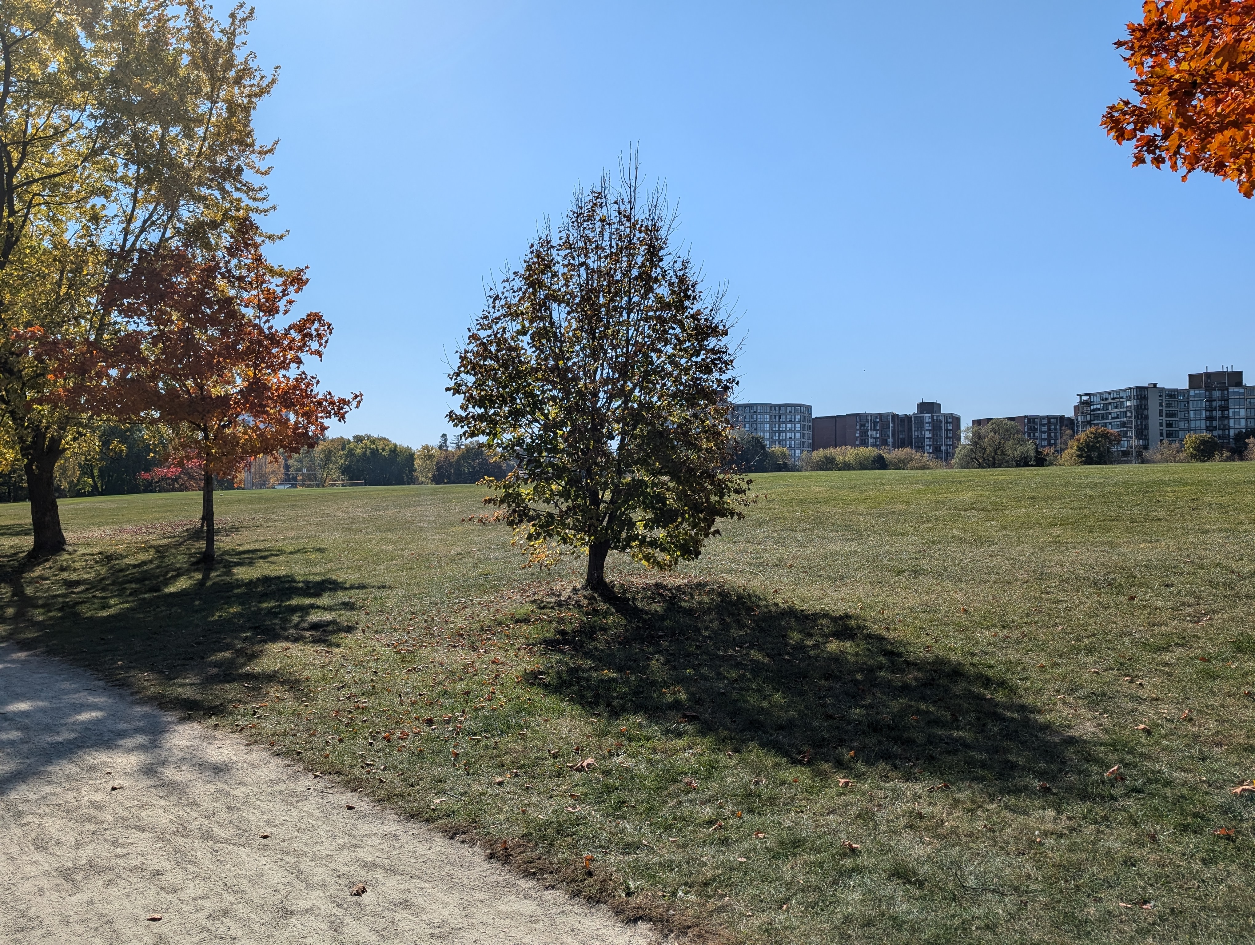 PXL_20241020_165001801.RAW-01.MP.COVER.jpg
