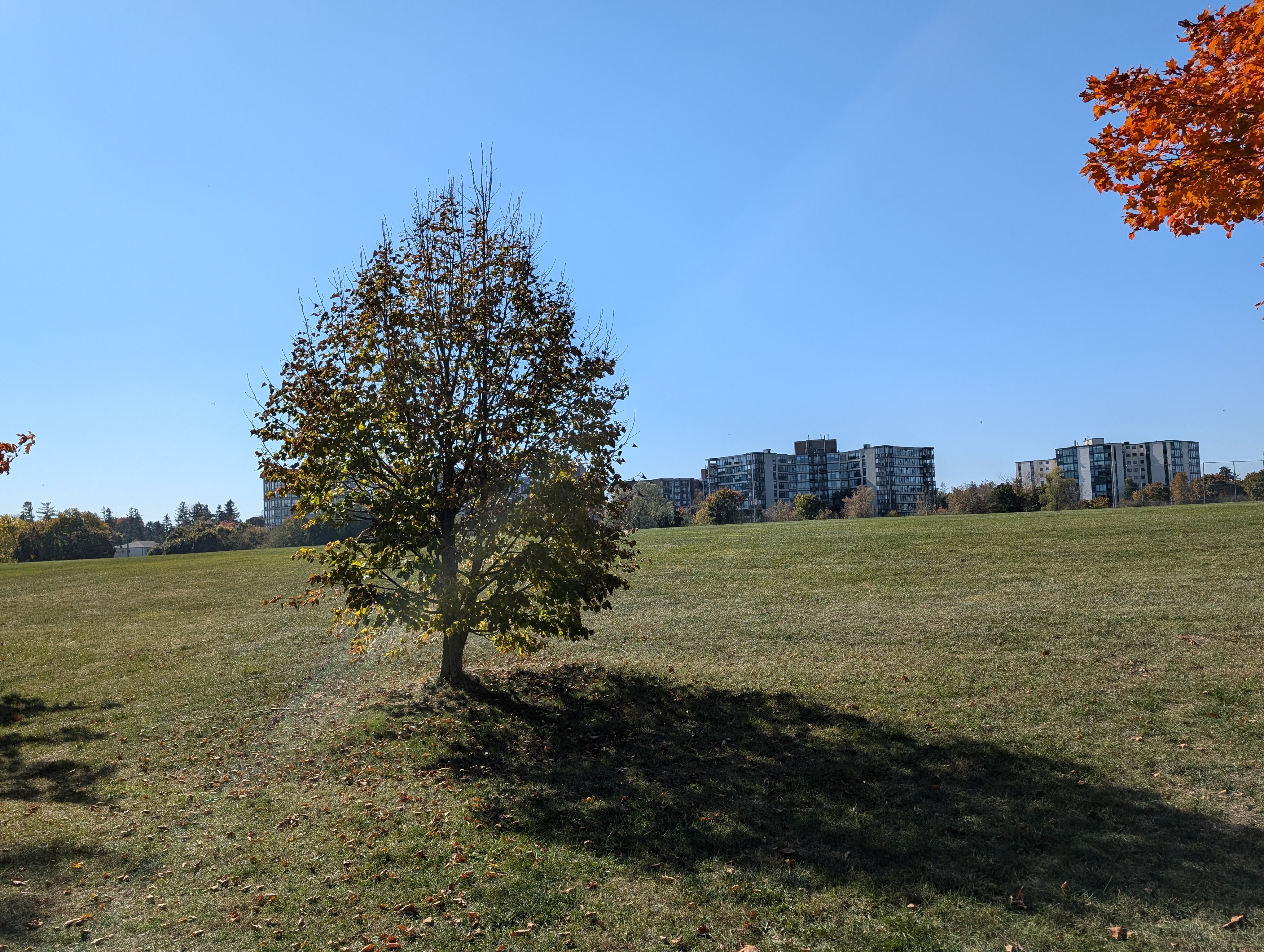 PXL_20241020_165008348.RAW-01.COVER.jpg