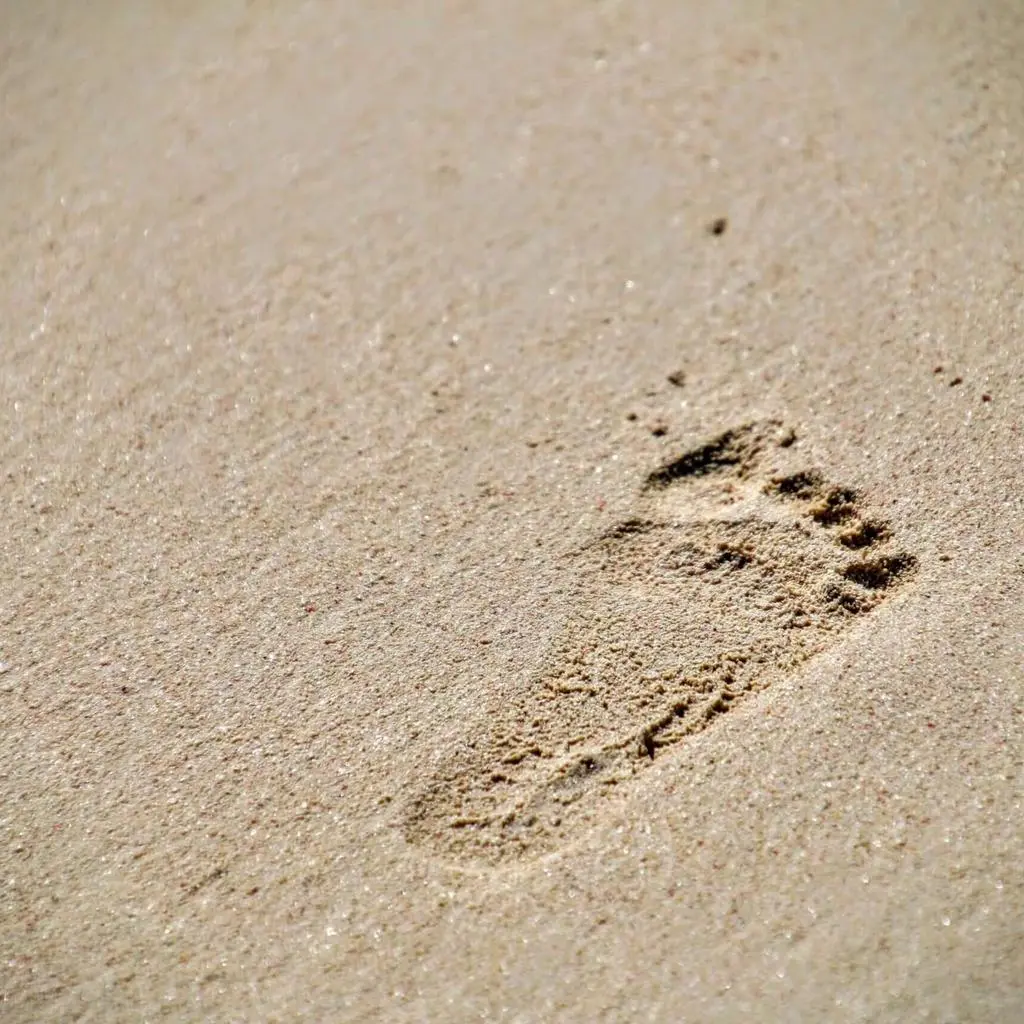 foot.webp