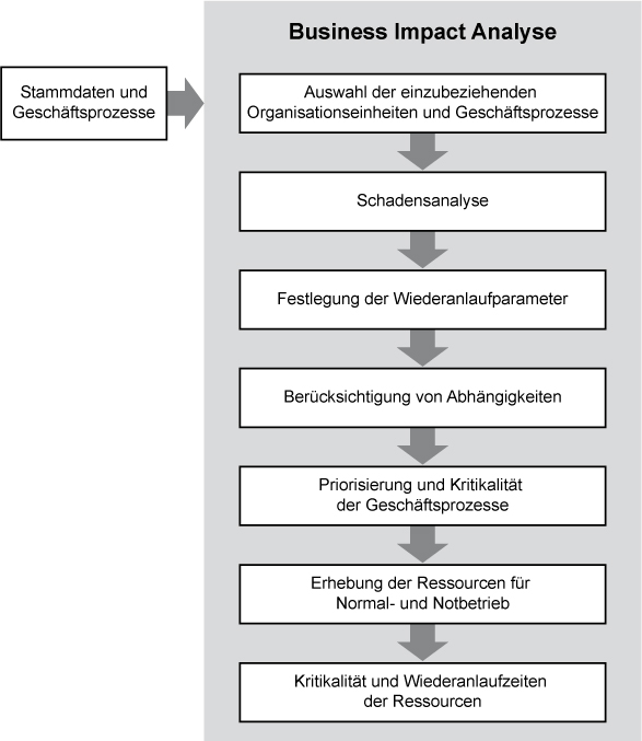 2_BSI-Standard_100-4.png