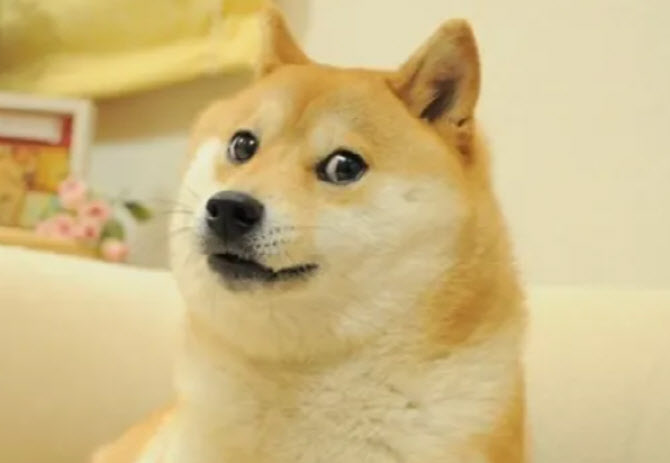 gh2.jpg