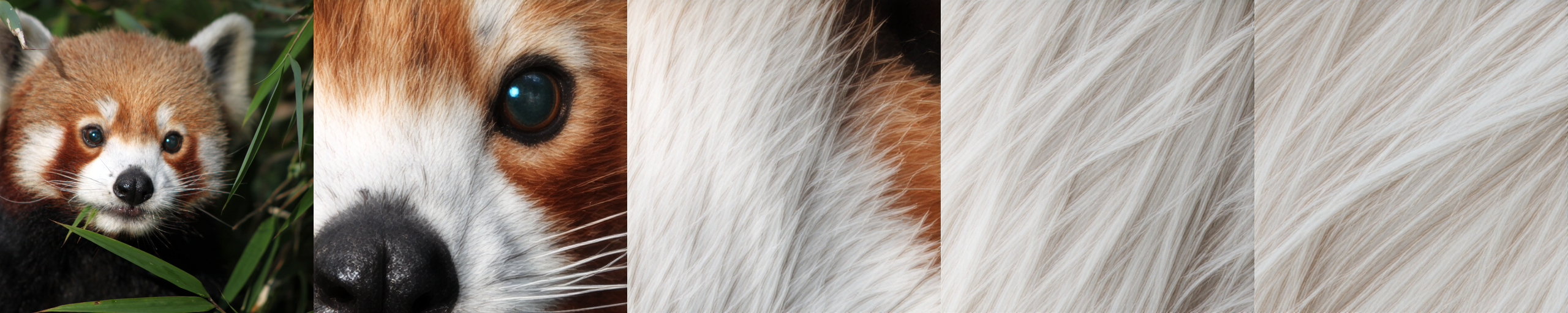 example_result.png