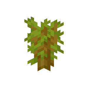 141.png