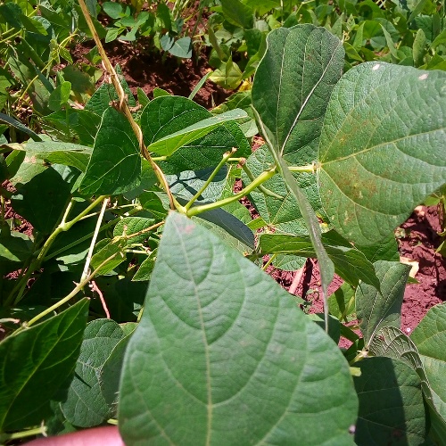 sample3.jpg