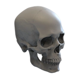 skull.png