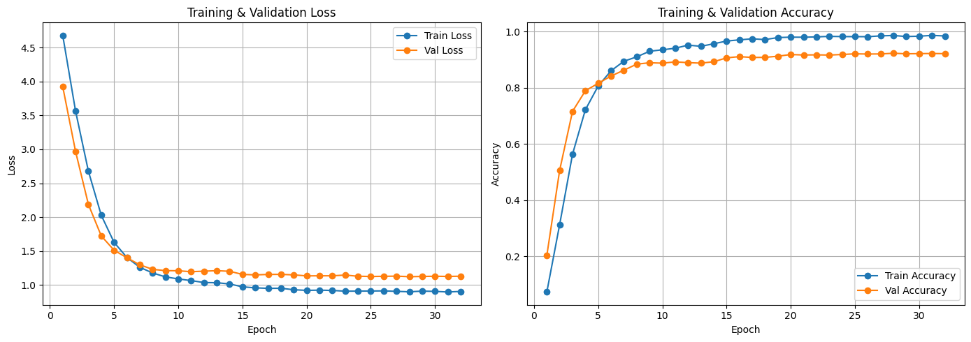 Training and Validation Metrics