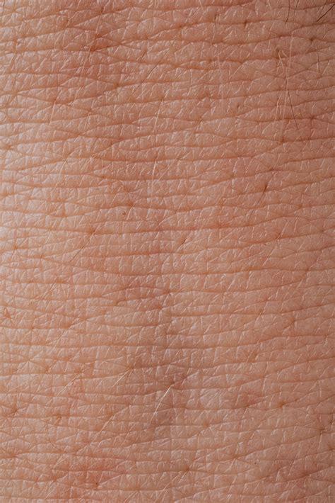 skin texture